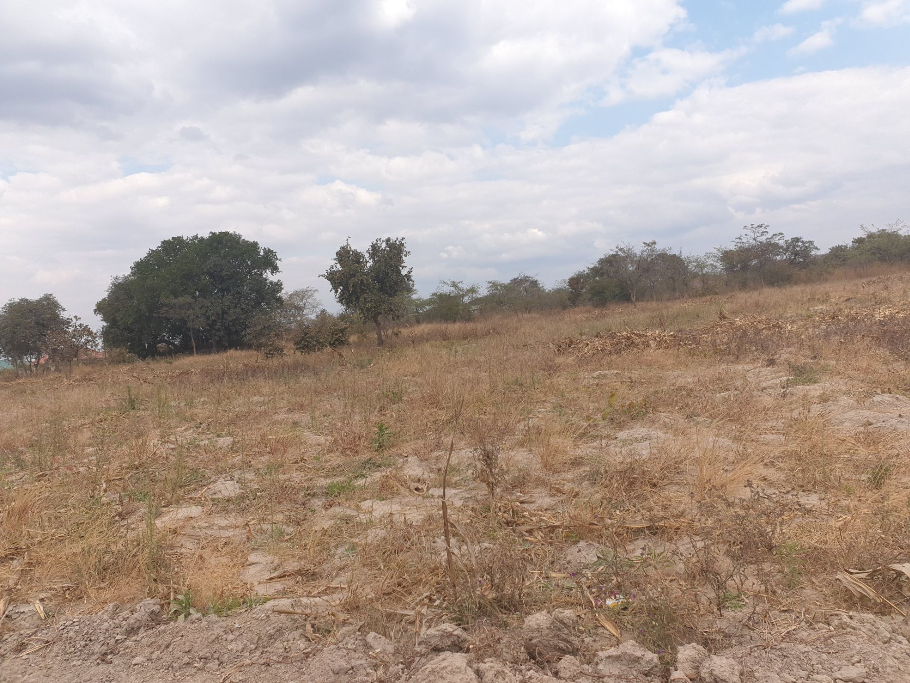 Vacant Land For Sale Silverest (Zambia) 3ZA1583392 Pam Golding