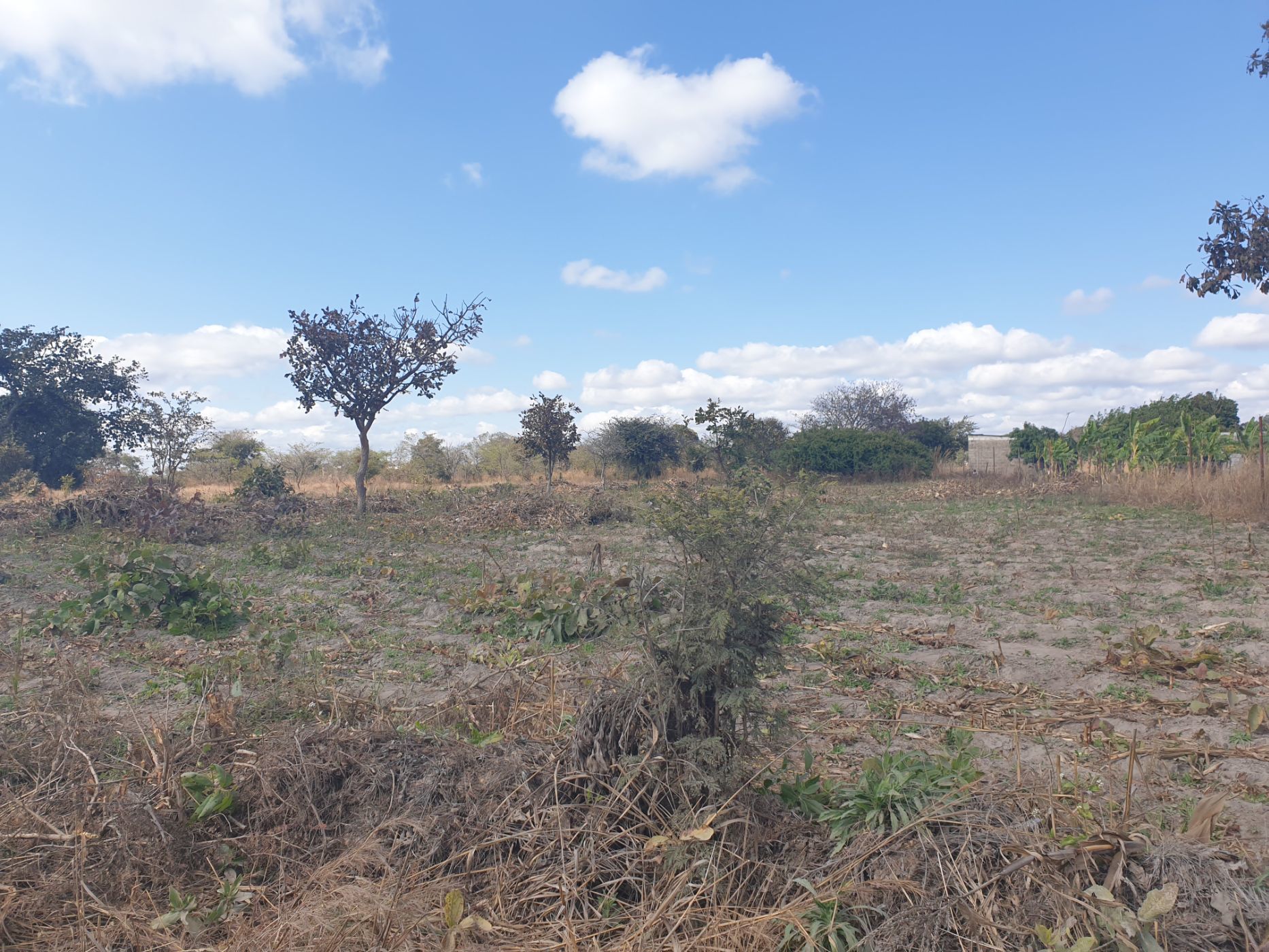 Vacant Land For Sale | Silverest (Zambia) | 3ZA1583392 | Pam Golding ...