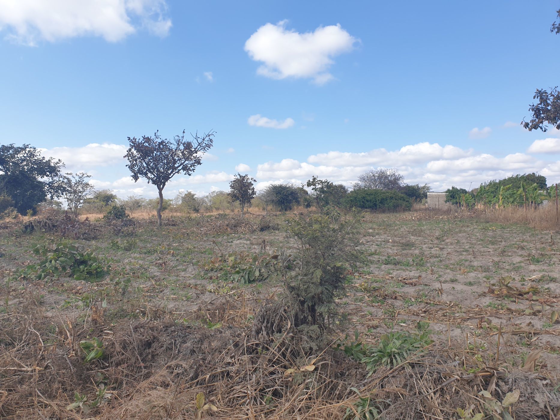 Vacant Land For Sale Silverest (Zambia) 3ZA1583392 Pam Golding