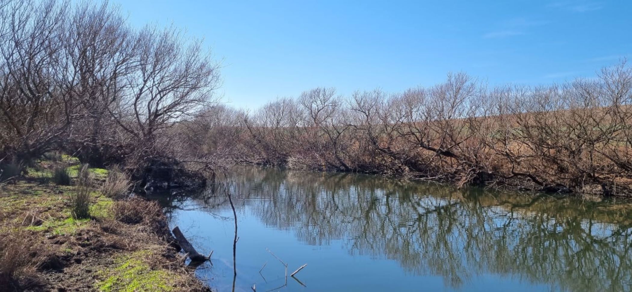 42 hectare smallholding for sale in Mooi River