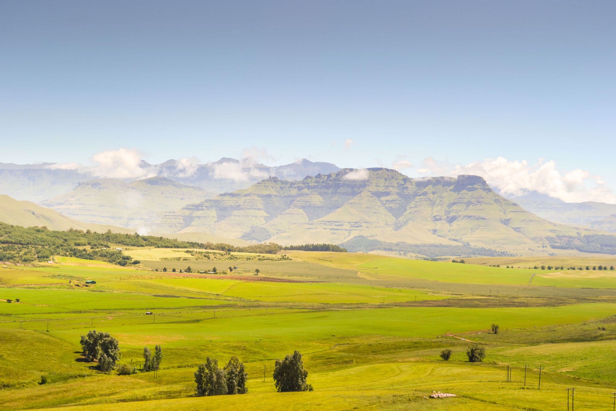 64 hectare Smallholding For Sale Underberg 1UB1580426 Pam Golding