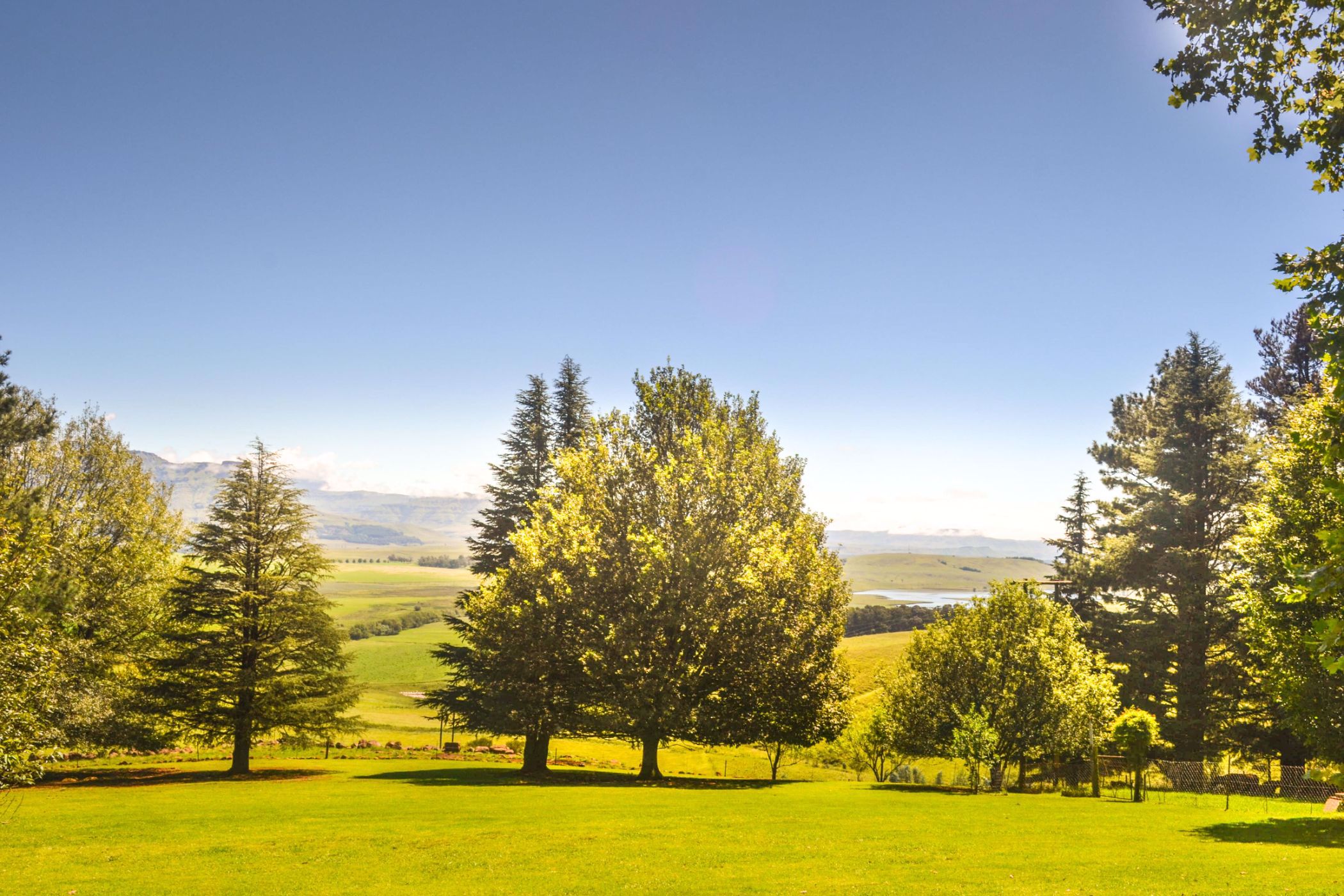 64 hectare Smallholding For Sale Underberg 1UB1580426 Pam Golding