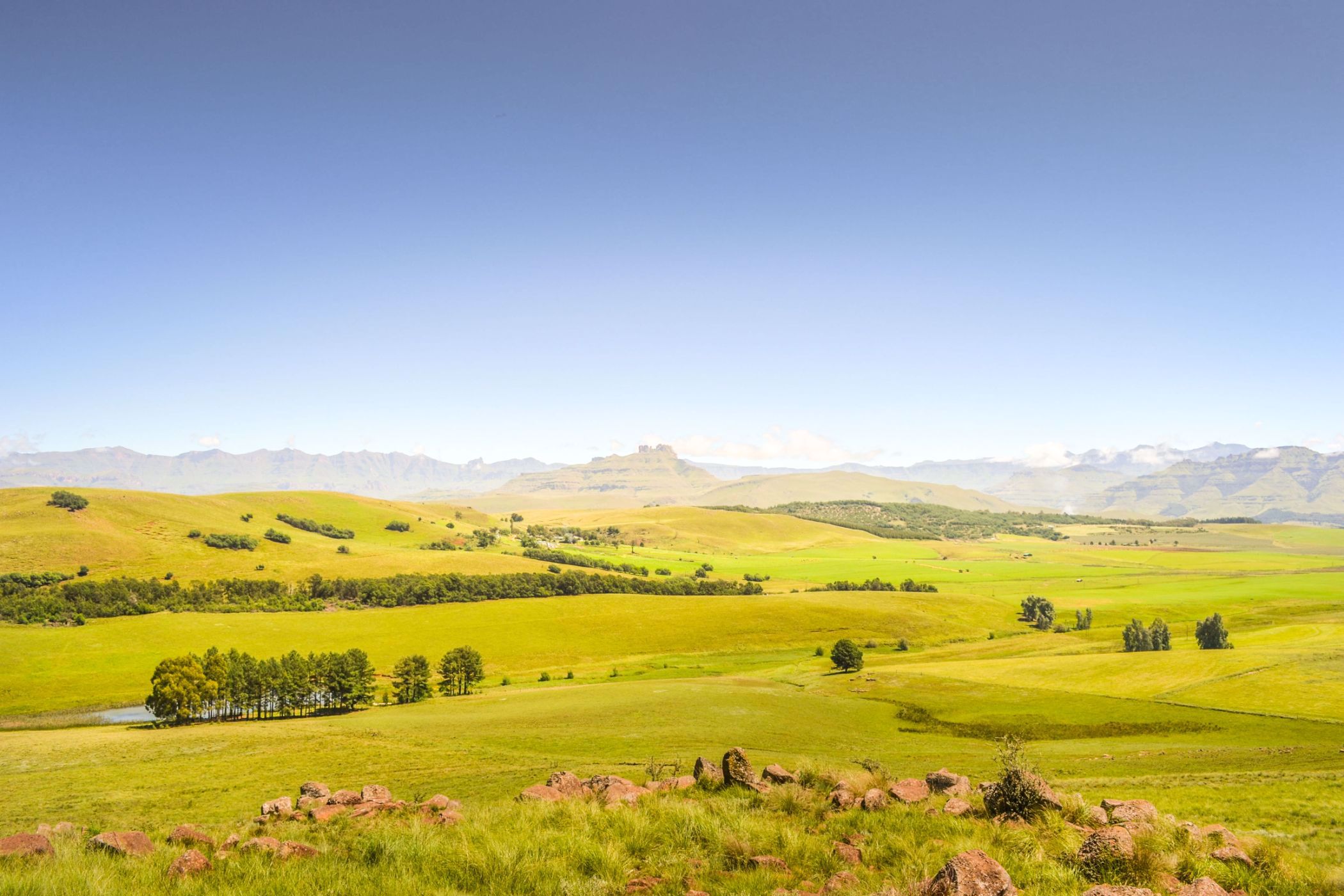 64 hectare Smallholding For Sale Underberg 1UB1580426 Pam Golding
