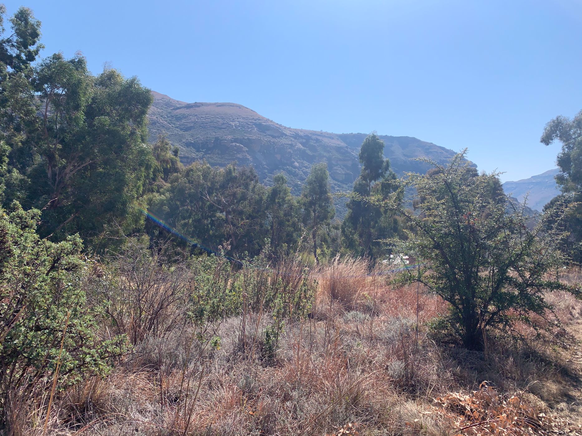 1174 m2 Residential Vacant Land For Sale Clarens 1CS1581028 Pam