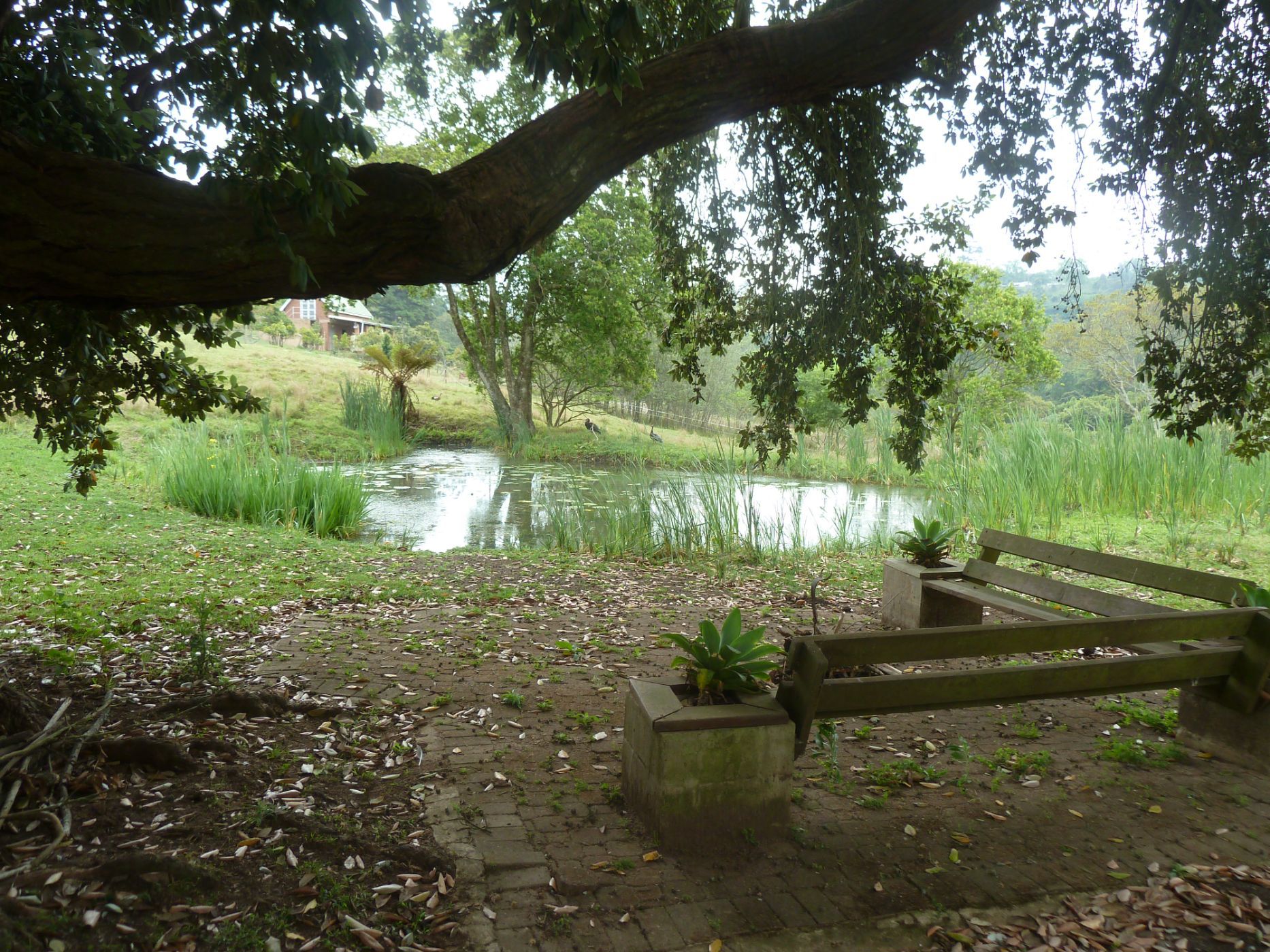 40005 m&sup2; smallholding for sale in Alverstone