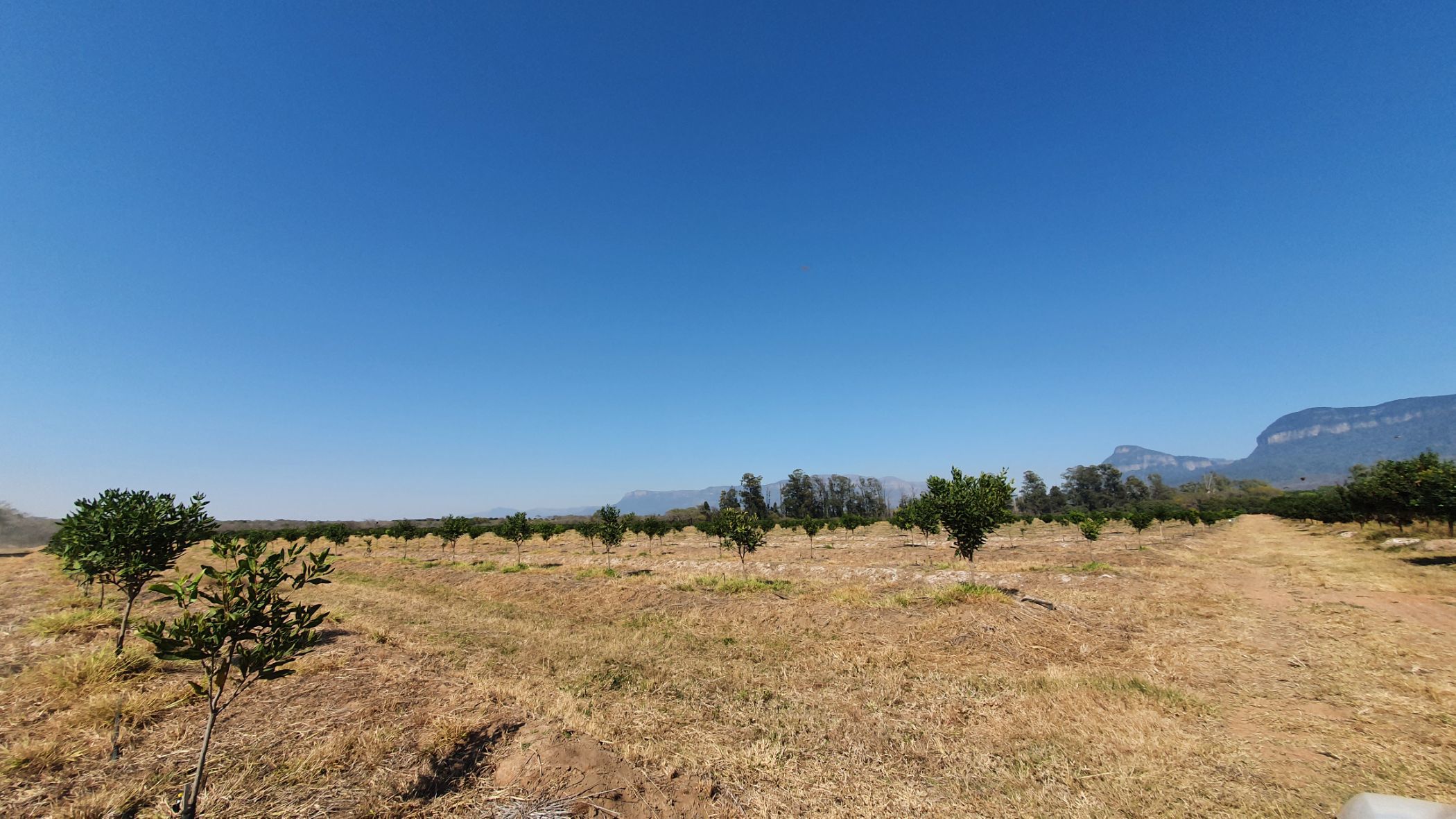 965 hectare Mixed Use Farm For Sale Hoedspruit 1HS1584916 Pam
