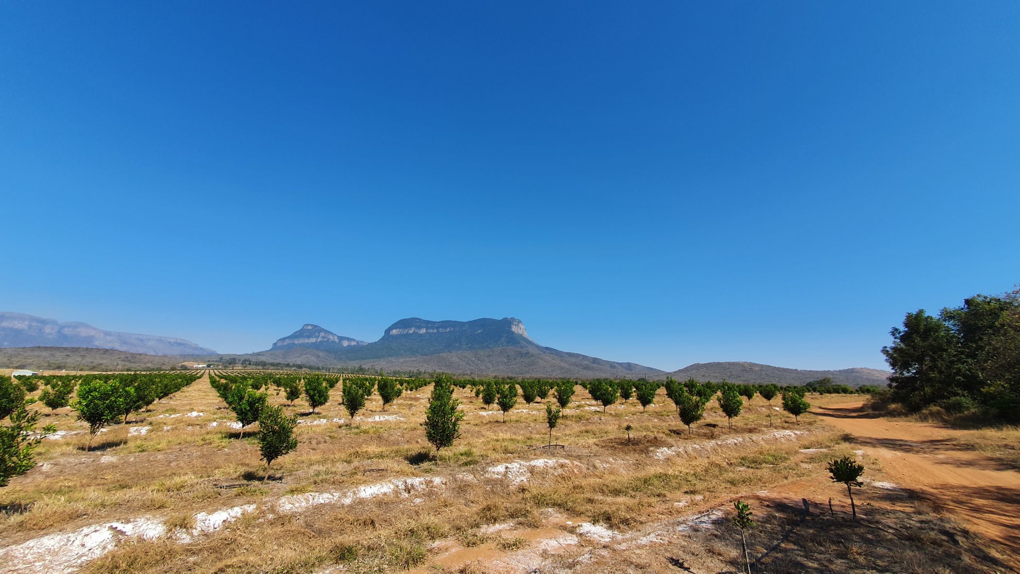 965 hectare Mixed Use Farm For Sale Hoedspruit 1HS1584916 Pam