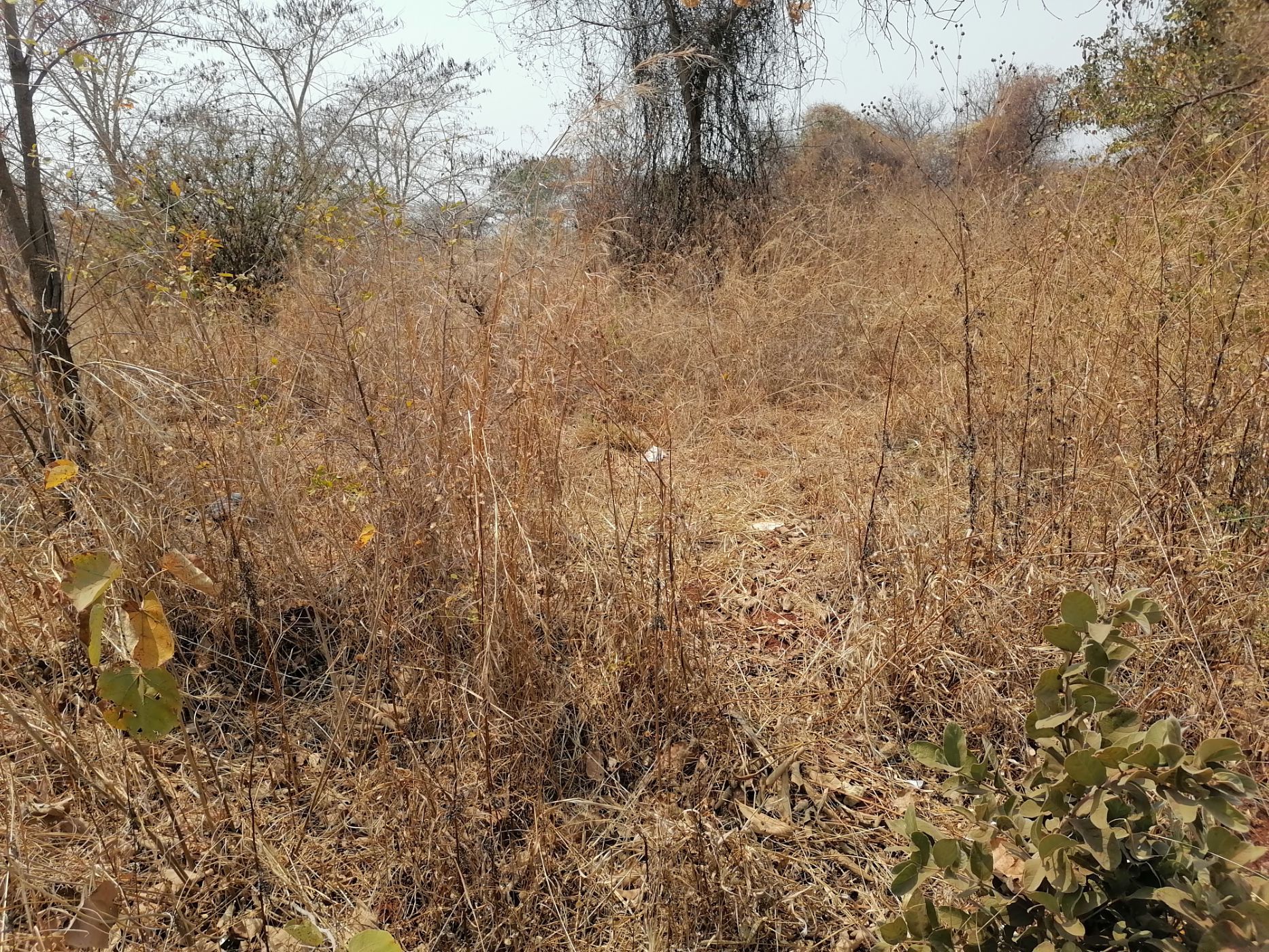 2007 m&sup2; residential vacant land for sale in Leopards Hill (Zambia)