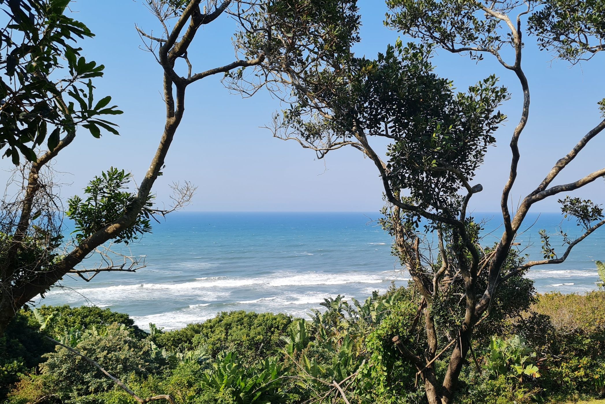 3614 m&sup2; residential vacant land for sale in Trafalgar