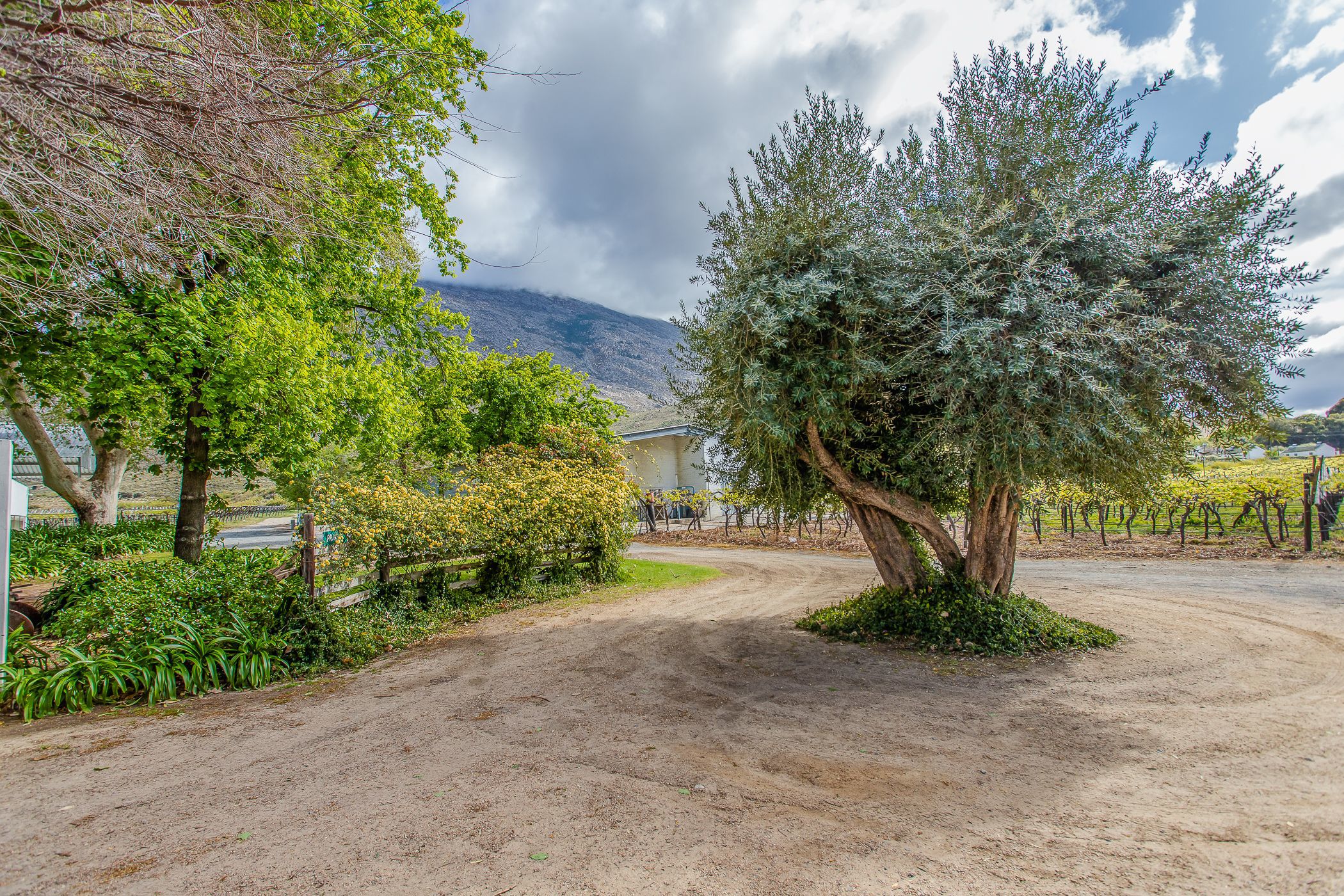 82.02 hectare Fruit Farm For Sale De Doorns TK1588228 Pam Golding Properties