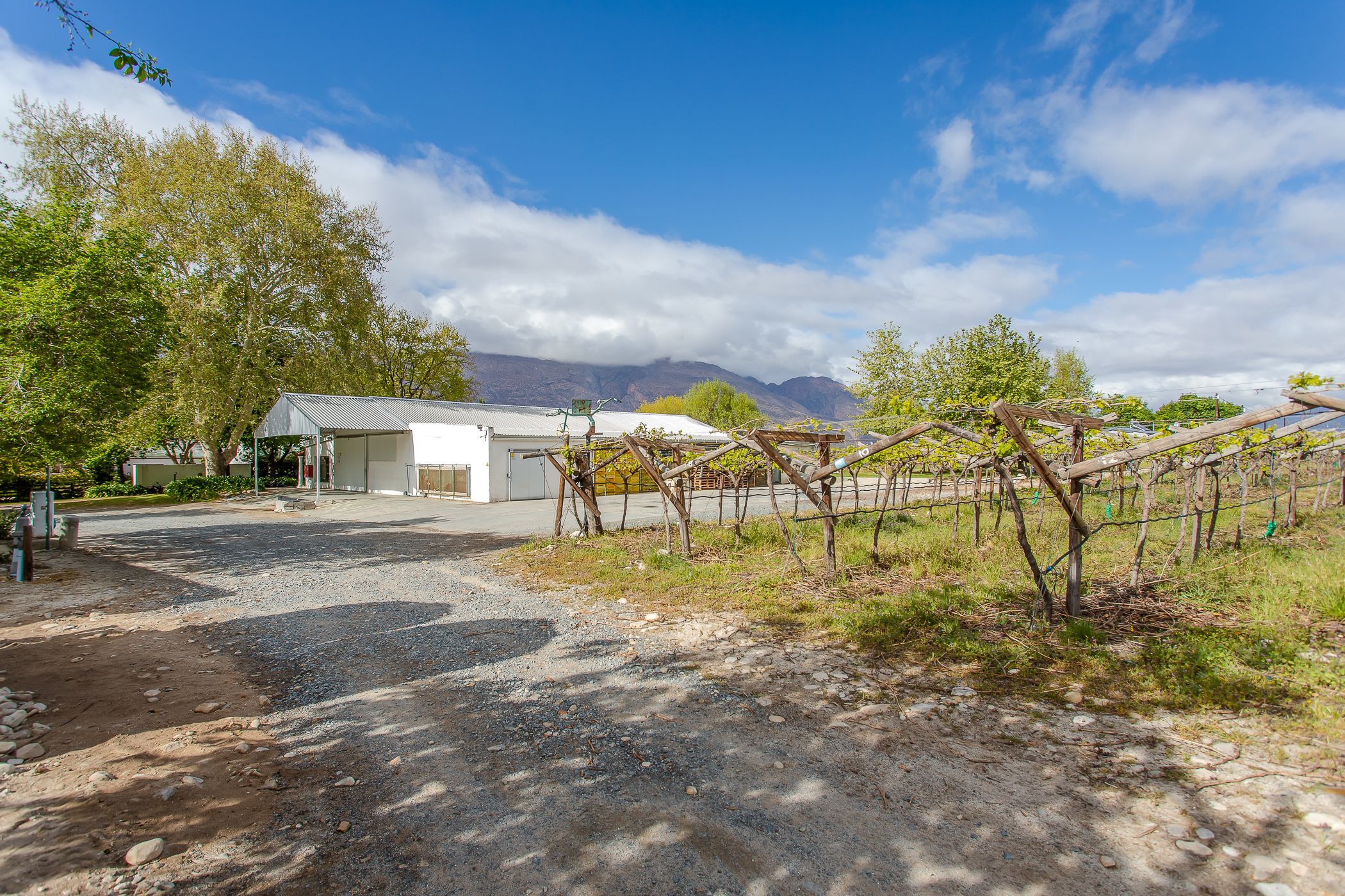 82.02 hectare Fruit Farm For Sale De Doorns TK1588228 Pam Golding Properties