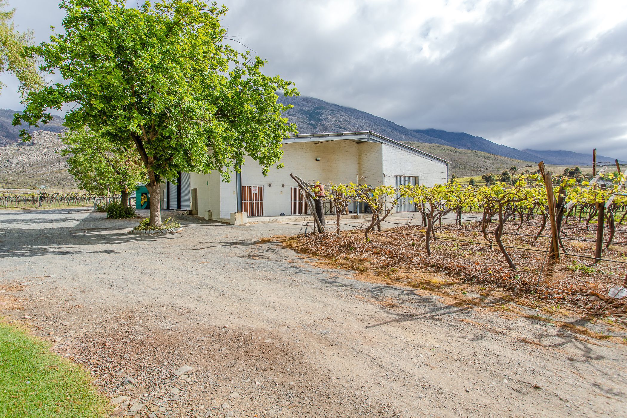 82.02 hectare Fruit Farm For Sale De Doorns TK1588228 Pam Golding Properties