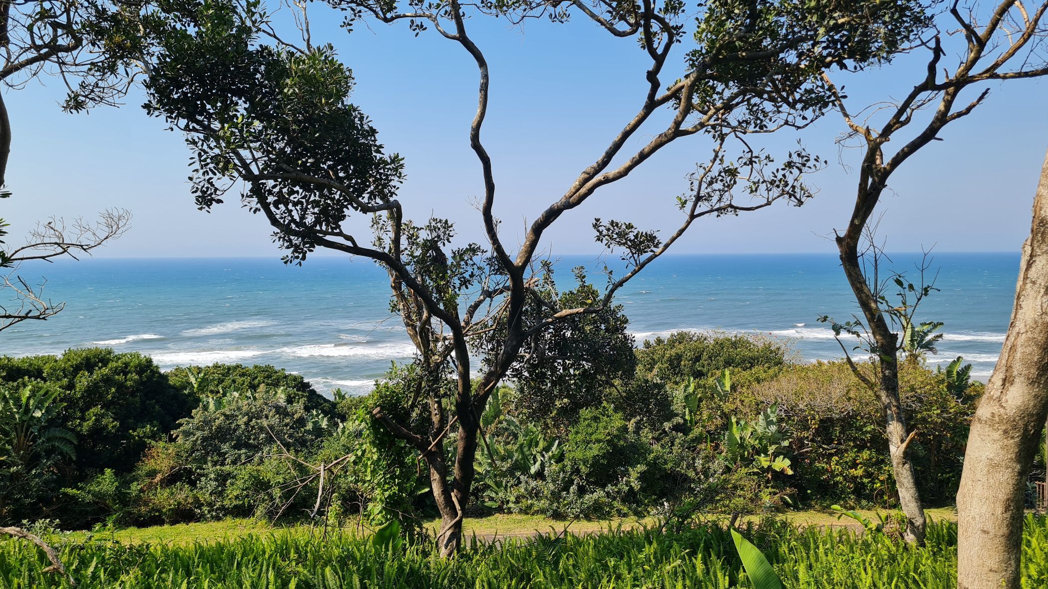 1137 m2 Residential Vacant Land For Sale Trafalgar 1PD1034338 Pam