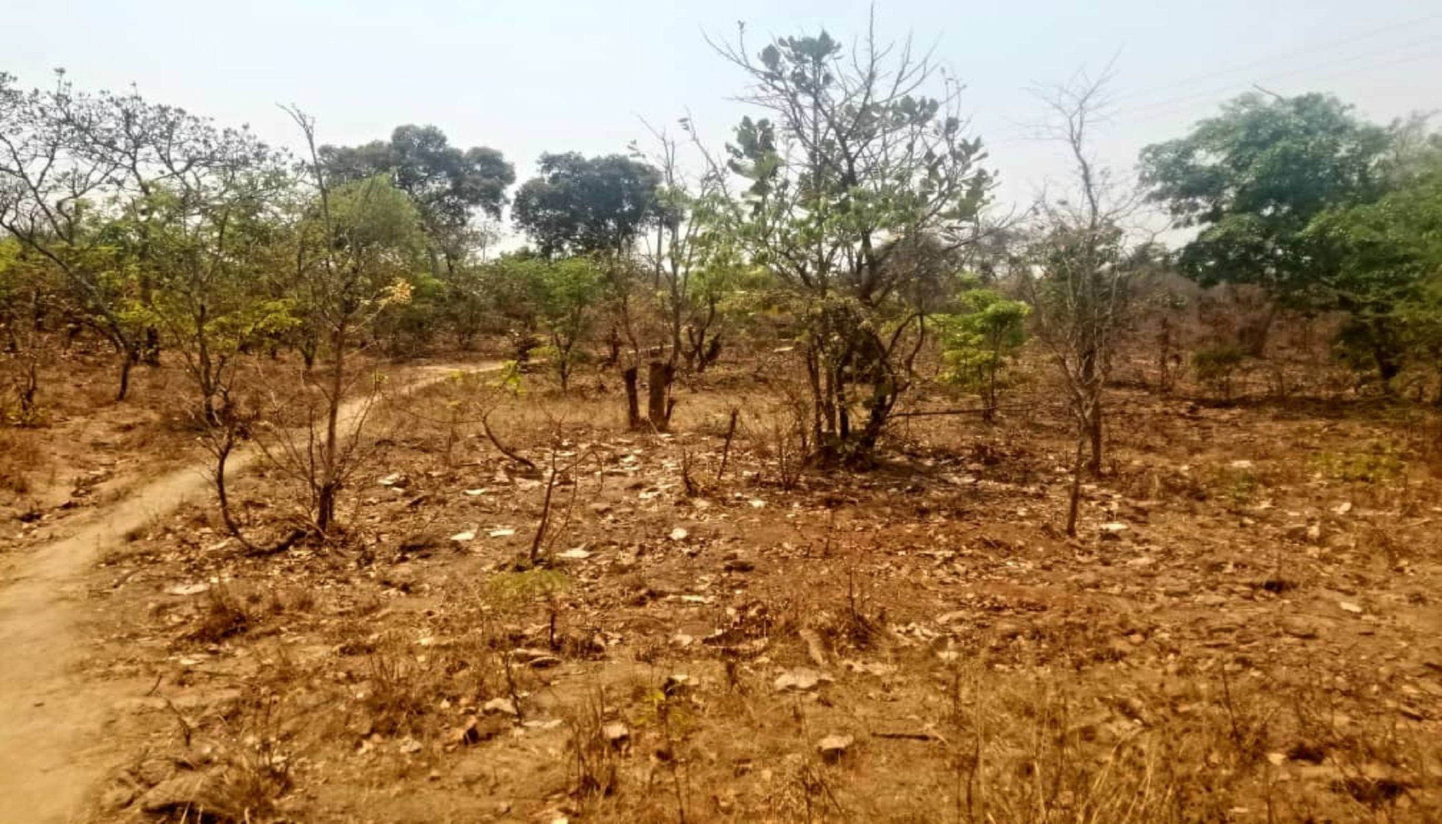 3 hectare Vacant Land For Sale Chongwe (Zambia) 3ZA1550156 Pam