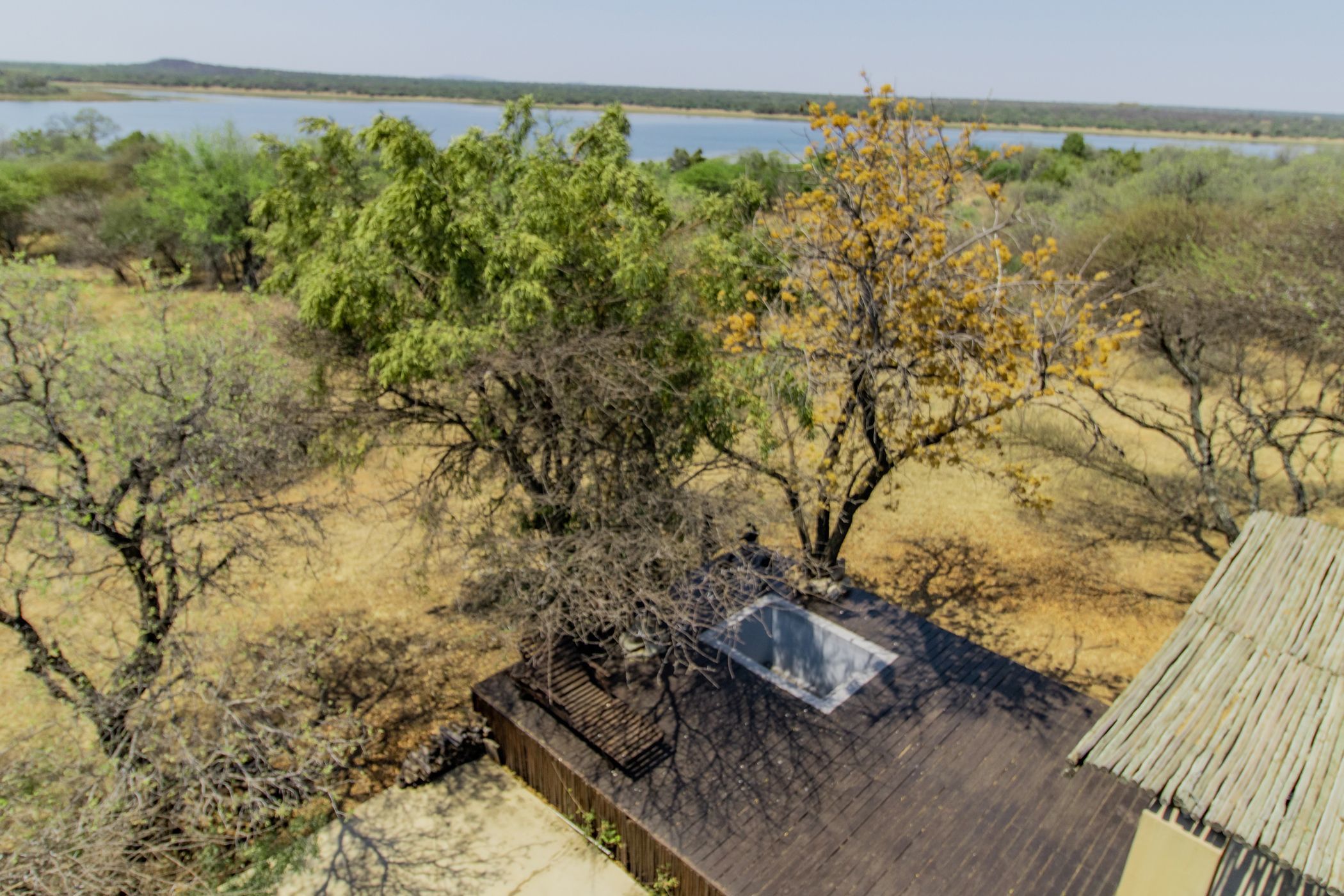 1 hectare Game Farm For Sale Vaalkop Dam, Bushwillow Estate