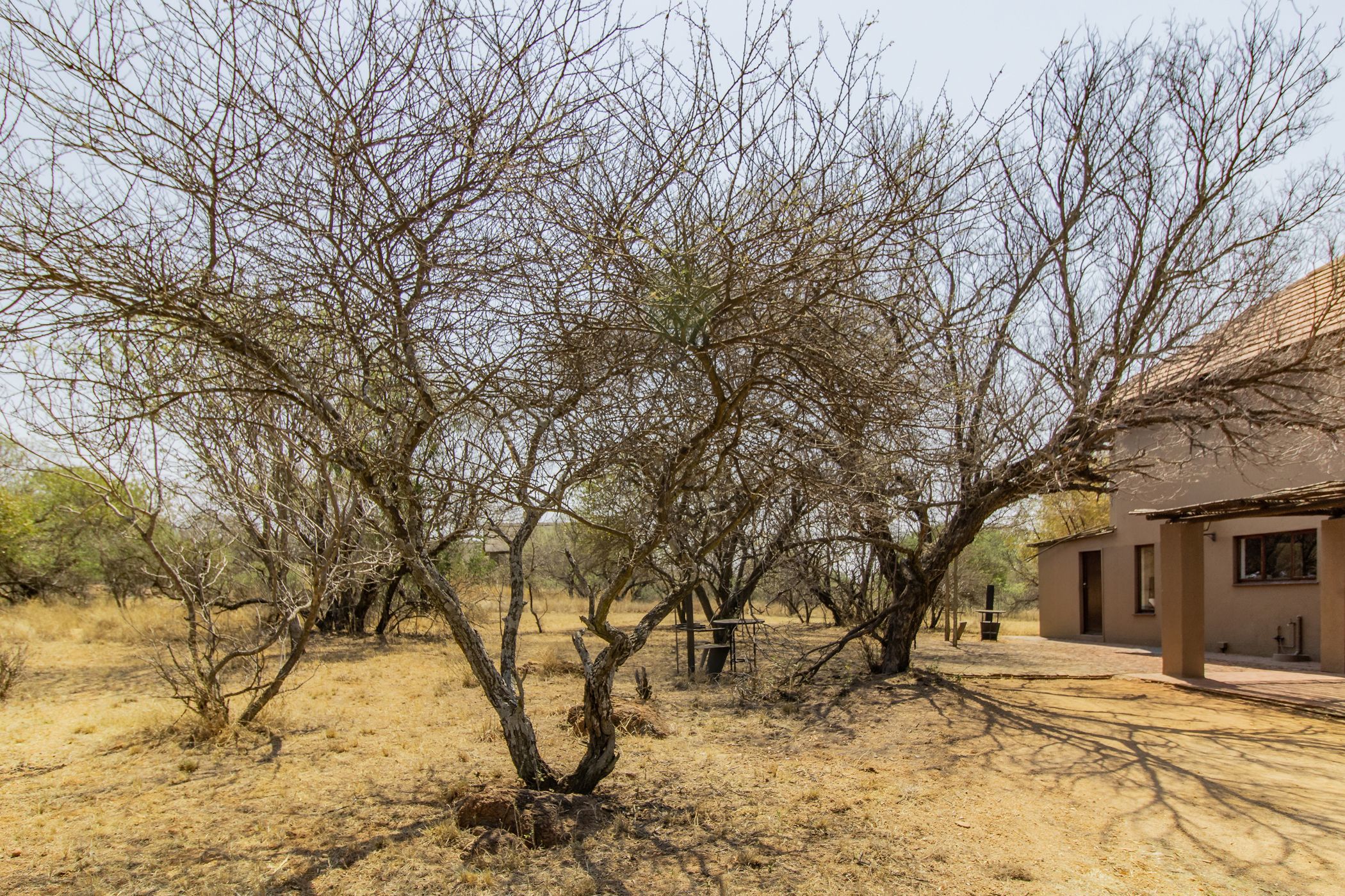 1 hectare Game Farm For Sale Vaalkop Dam, Bushwillow Estate