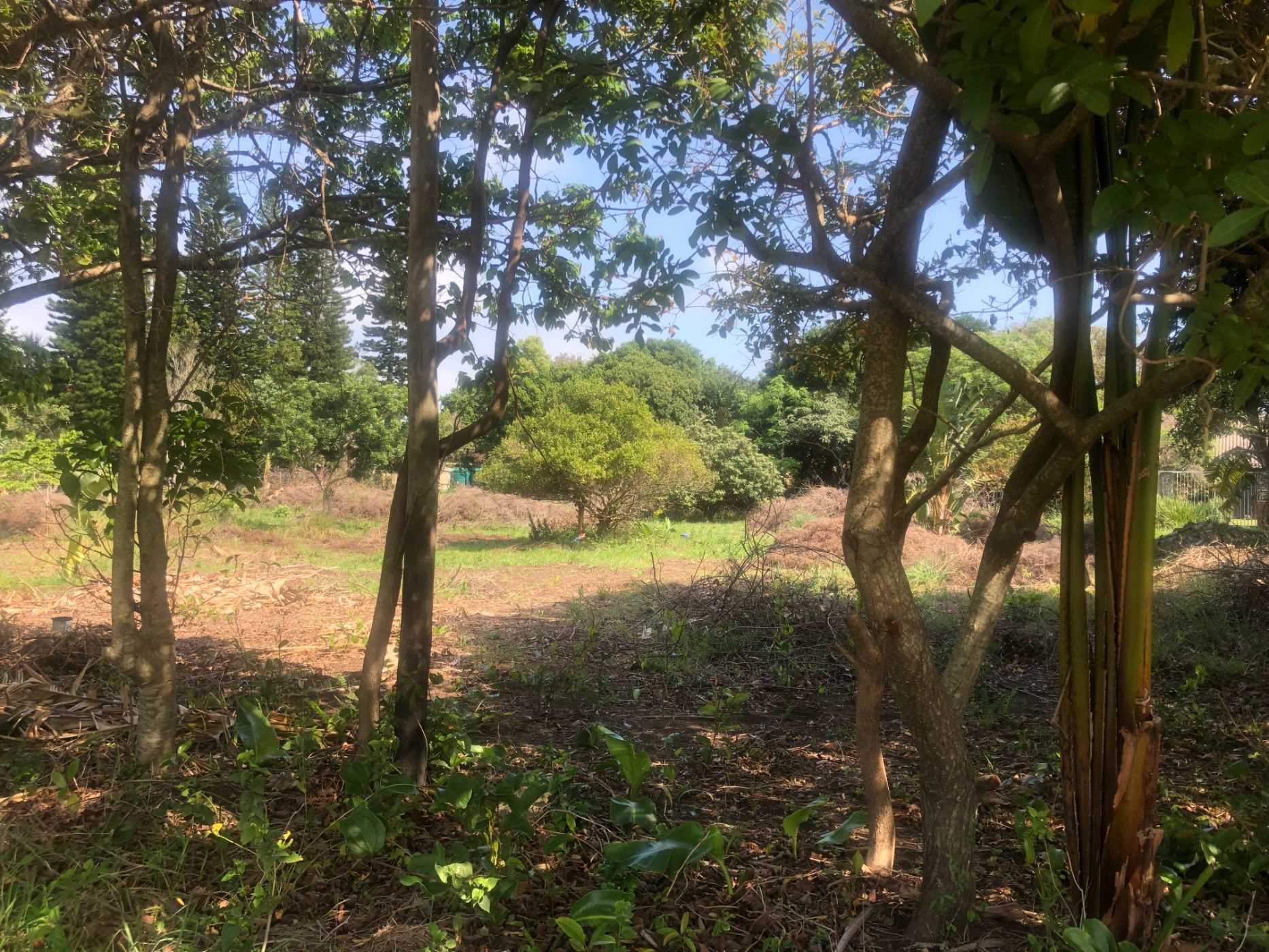 4050 m&sup2; residential vacant land for sale in Banners Rest