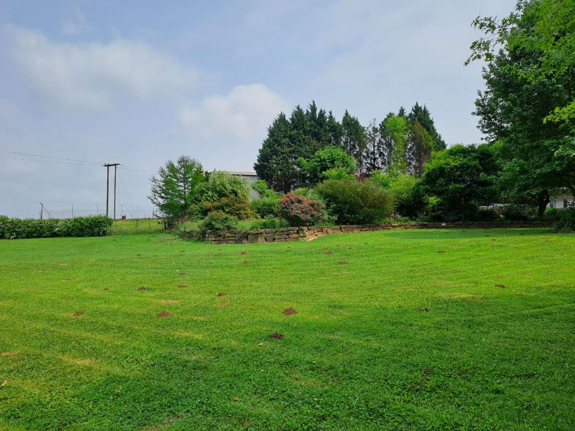 6.4 hectare Mixed Use Farm For Sale Rosetta 1PM1589181 Pam