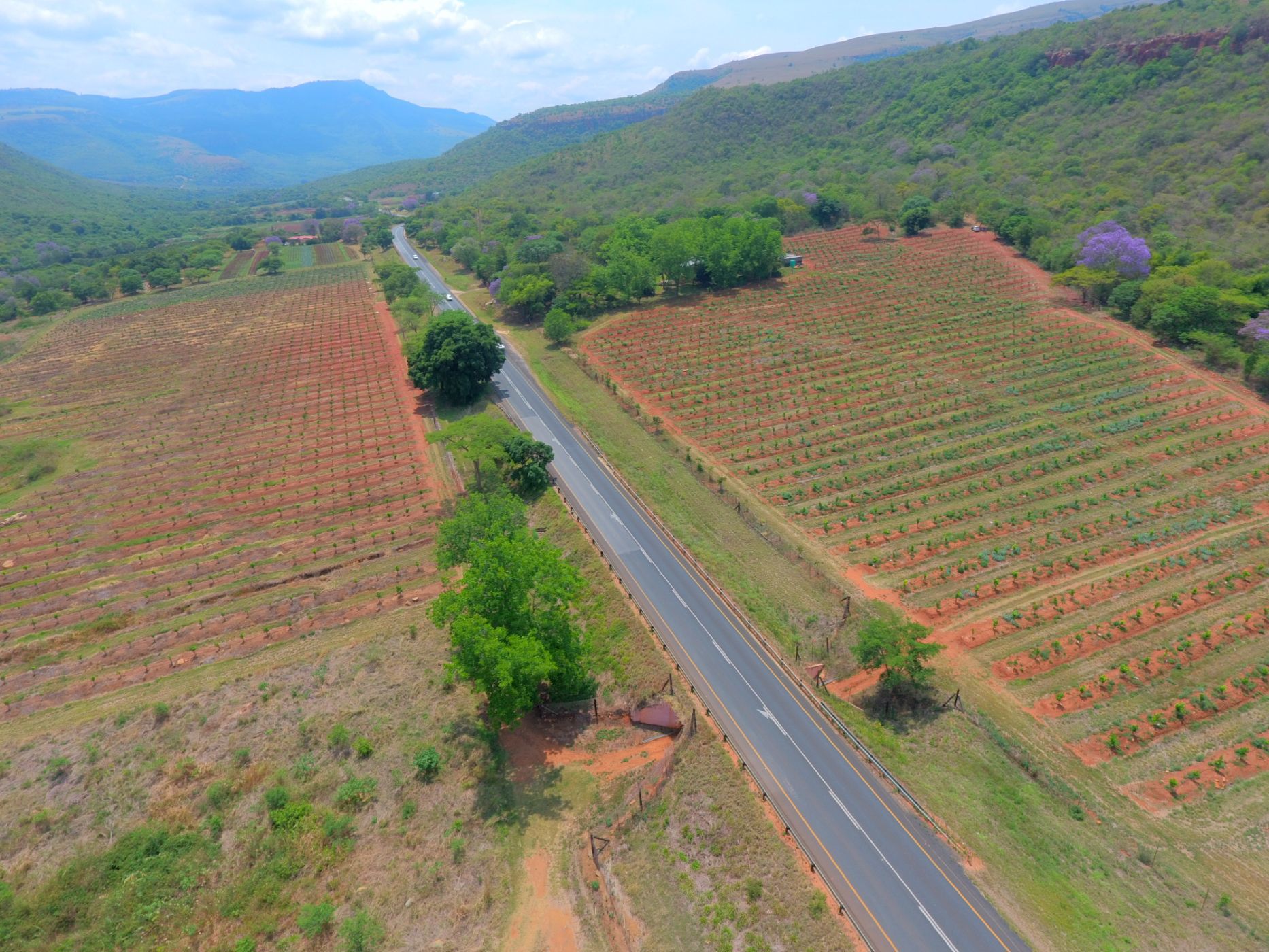 227 hectare Citrus Farm For Sale Mbombela Rural (Nelspruit Rural