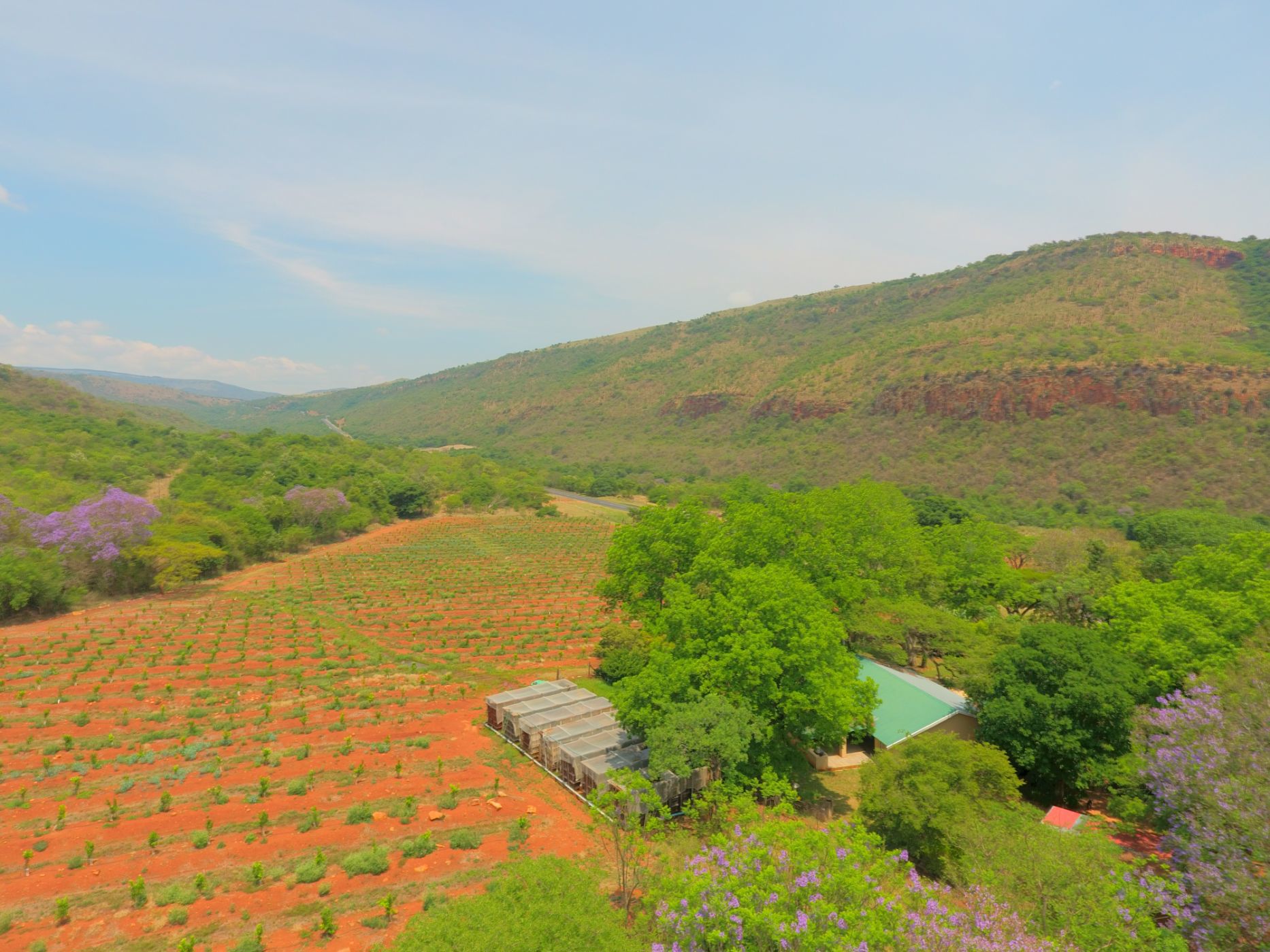 227 hectare Citrus Farm For Sale Mbombela Rural (Nelspruit Rural) 1NK1591388 Pam Golding