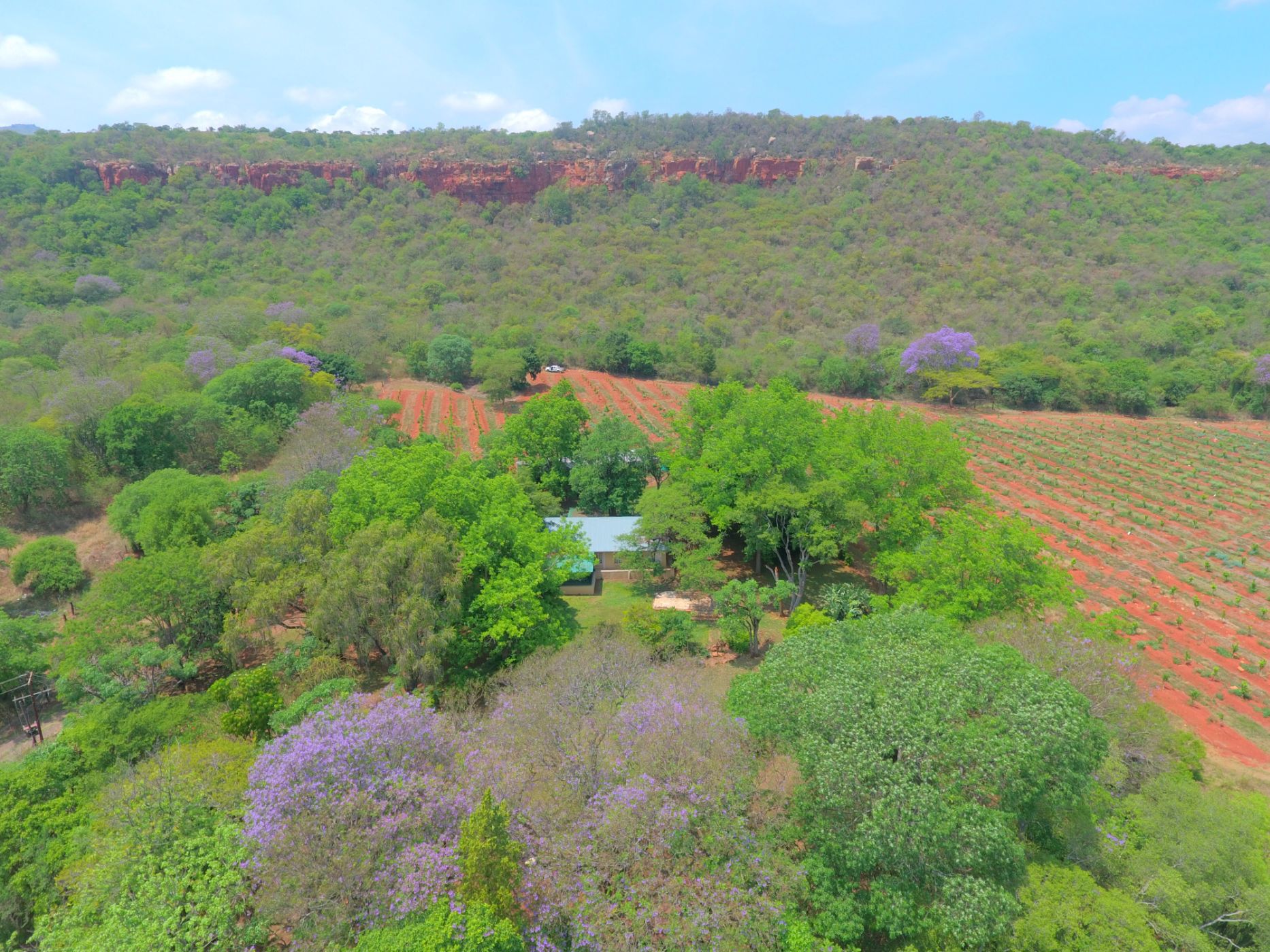 227 hectare Citrus Farm For Sale Mbombela Rural (Nelspruit Rural