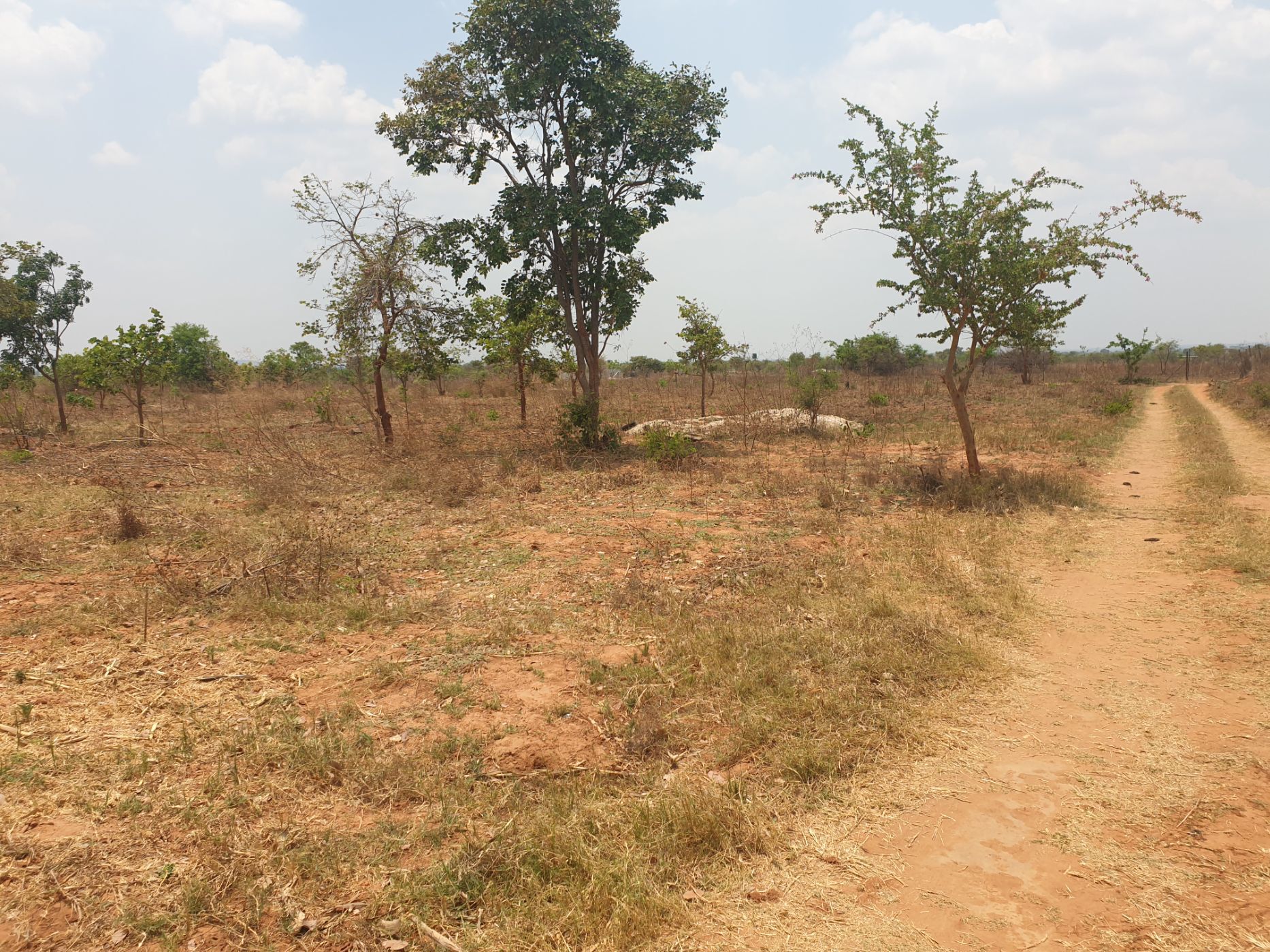 5 Acres Breeding Farm For Sale Chongwe (Zambia) 3ZA1592071 Pam