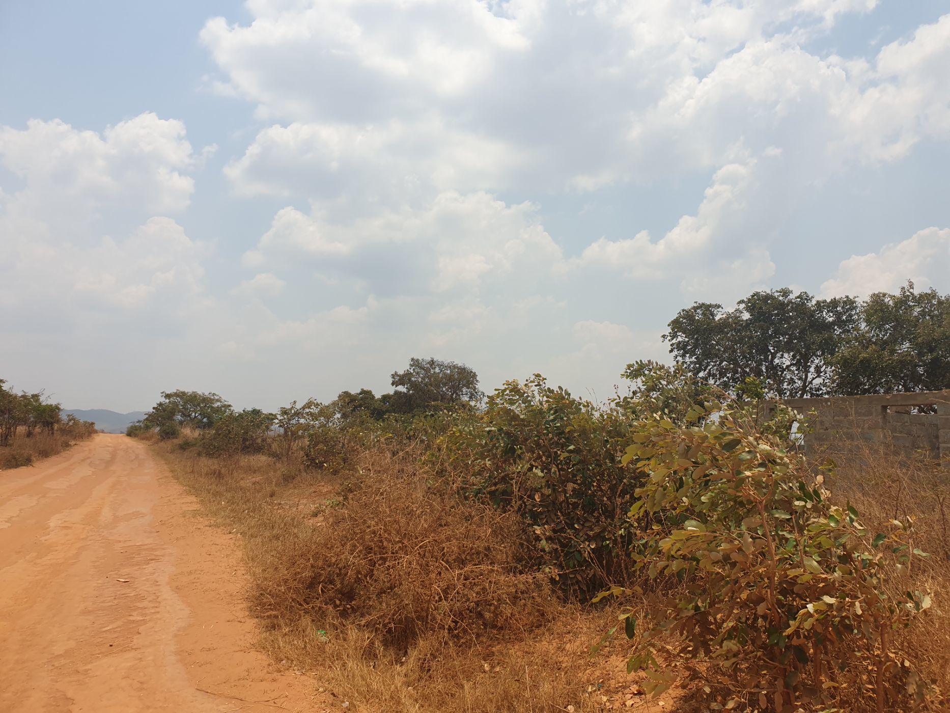 5 Acres Breeding Farm For Sale Chongwe (Zambia) 3ZA1592071 Pam