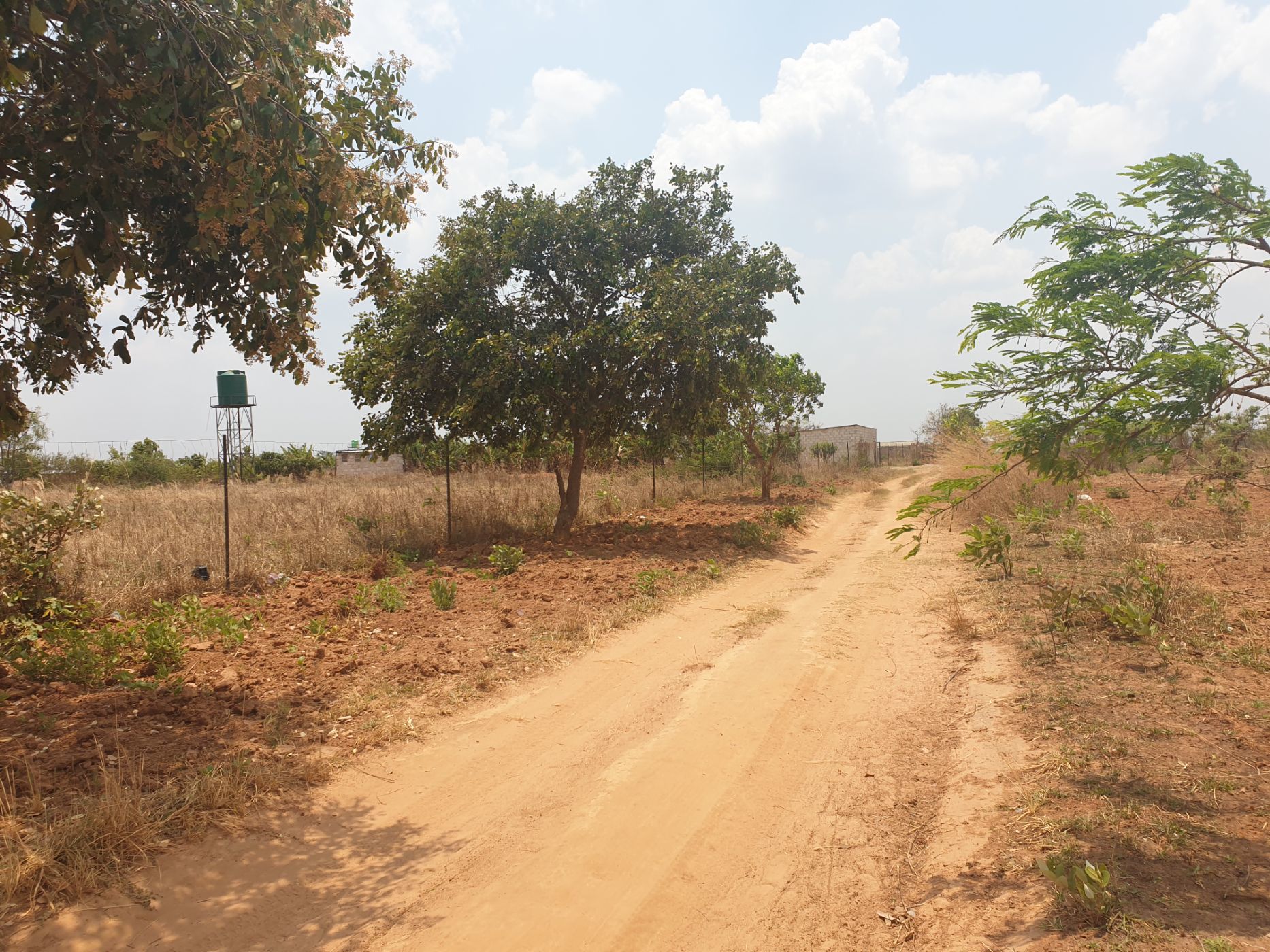 5 Acres Breeding Farm For Sale Chongwe (Zambia) 3ZA1592071 Pam