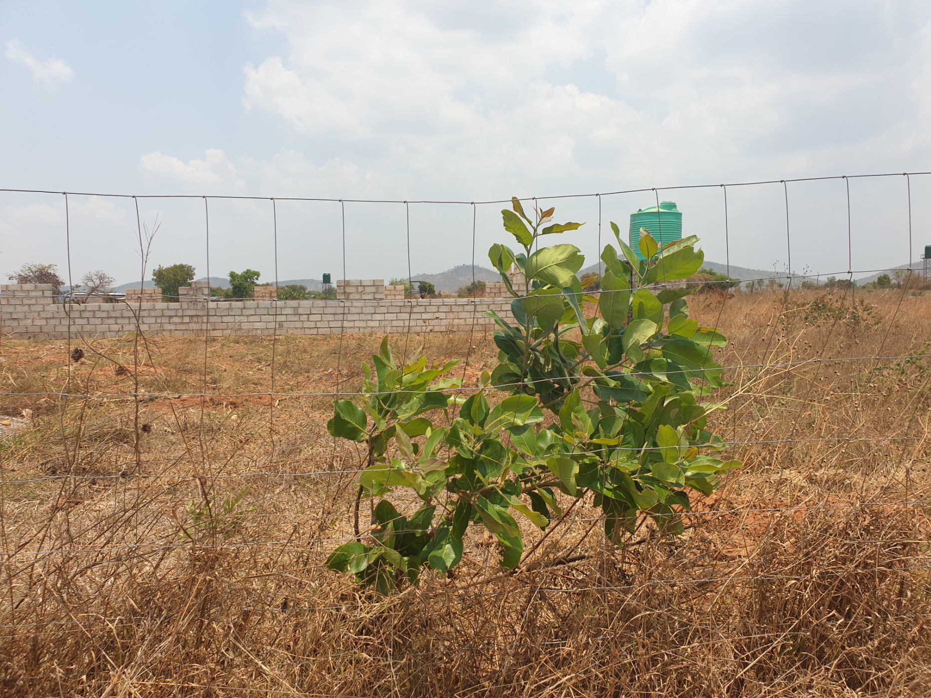 5 Acres Breeding Farm For Sale Chongwe (Zambia) 3ZA1592071 Pam