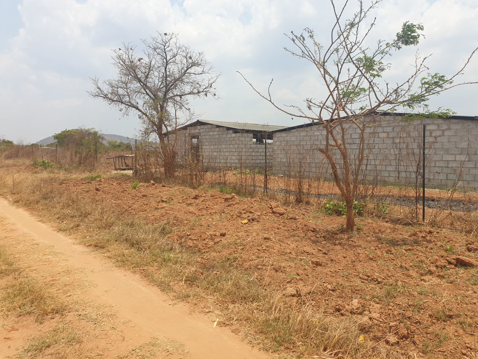 5 Acres Breeding Farm For Sale Chongwe (Zambia) 3ZA1592071 Pam