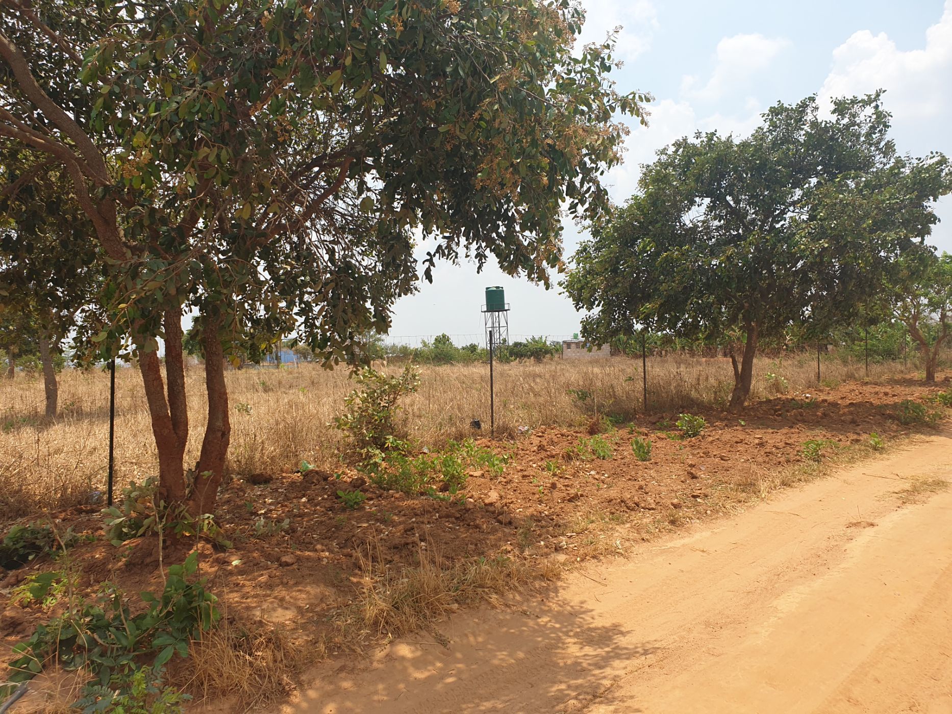 5 Acres Breeding Farm For Sale Chongwe (Zambia) 3ZA1592071 Pam