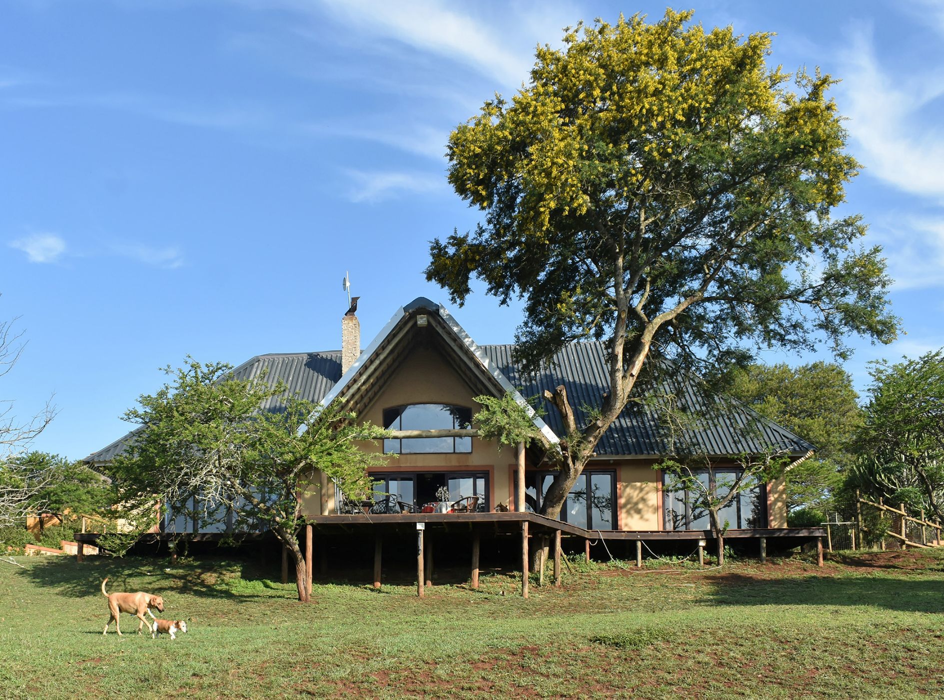 22.16 hectare Game Farm For Sale Bisley 1PM1593723 Pam Golding