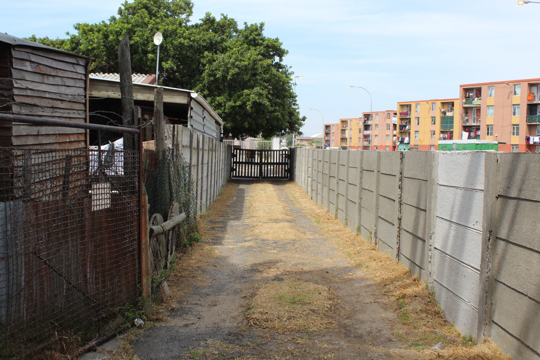 2 Bedroom House For Sale Elsies River 1AH1593409 Pam Golding