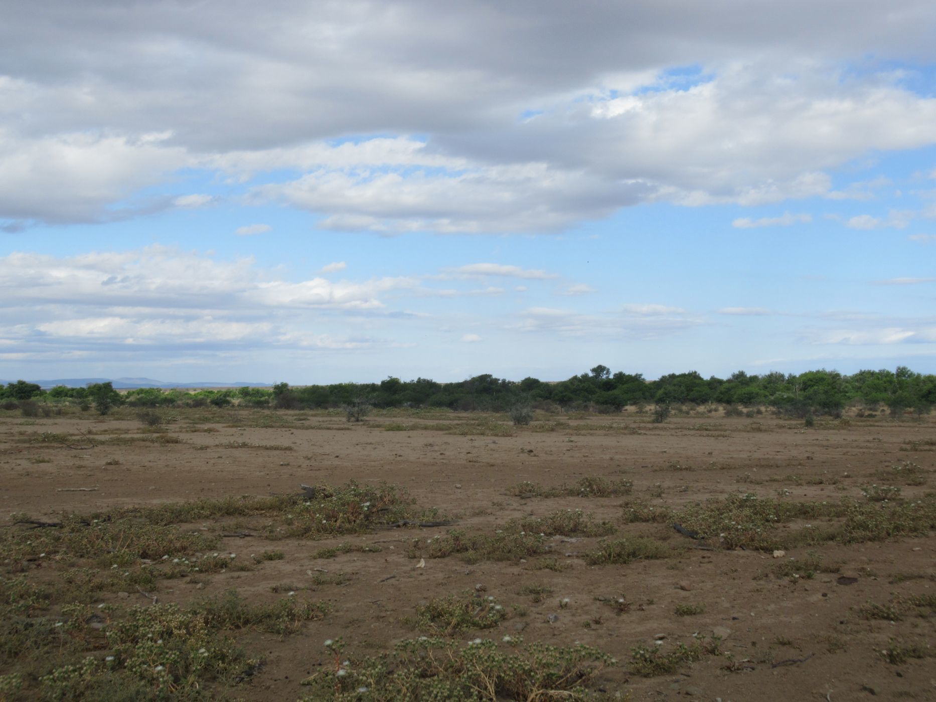 3242 hectare Mixed Use Farm For Sale Somerset East 1KK1594282 Pam