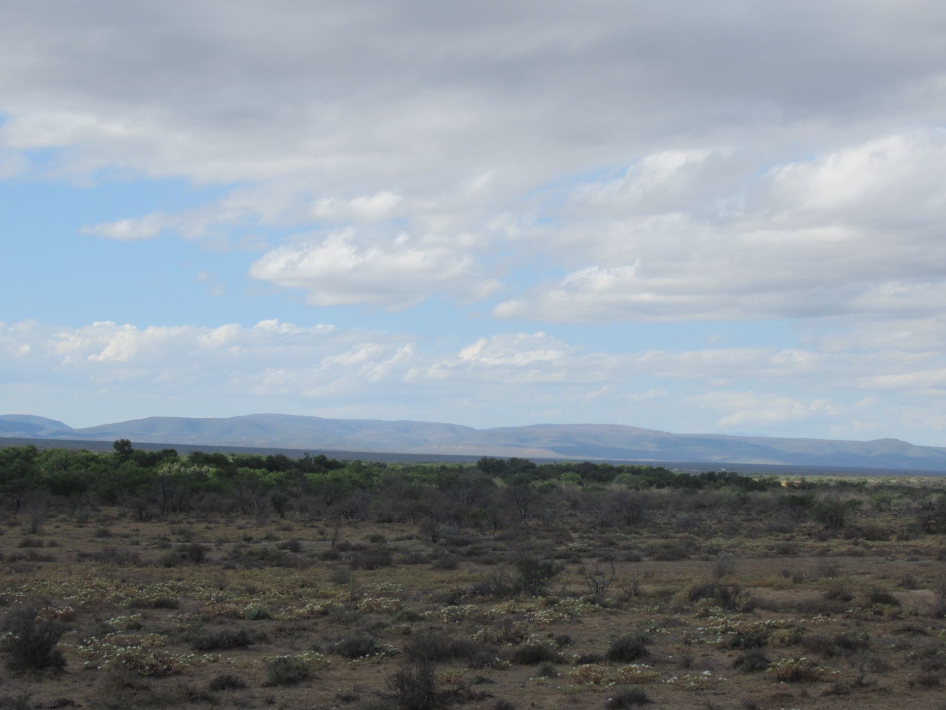 3242 hectare Mixed Use Farm For Sale Somerset East 1KK1594282 Pam