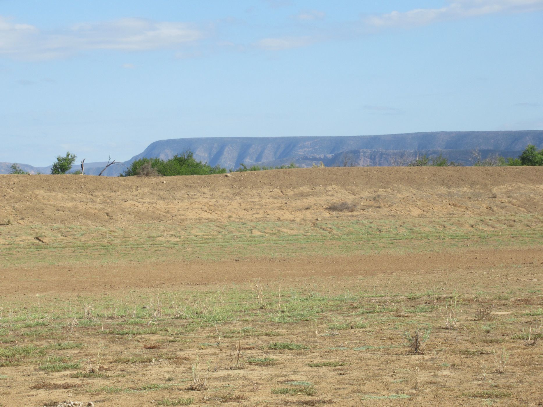 3242 hectare Mixed Use Farm For Sale Somerset East 1KK1594282 Pam