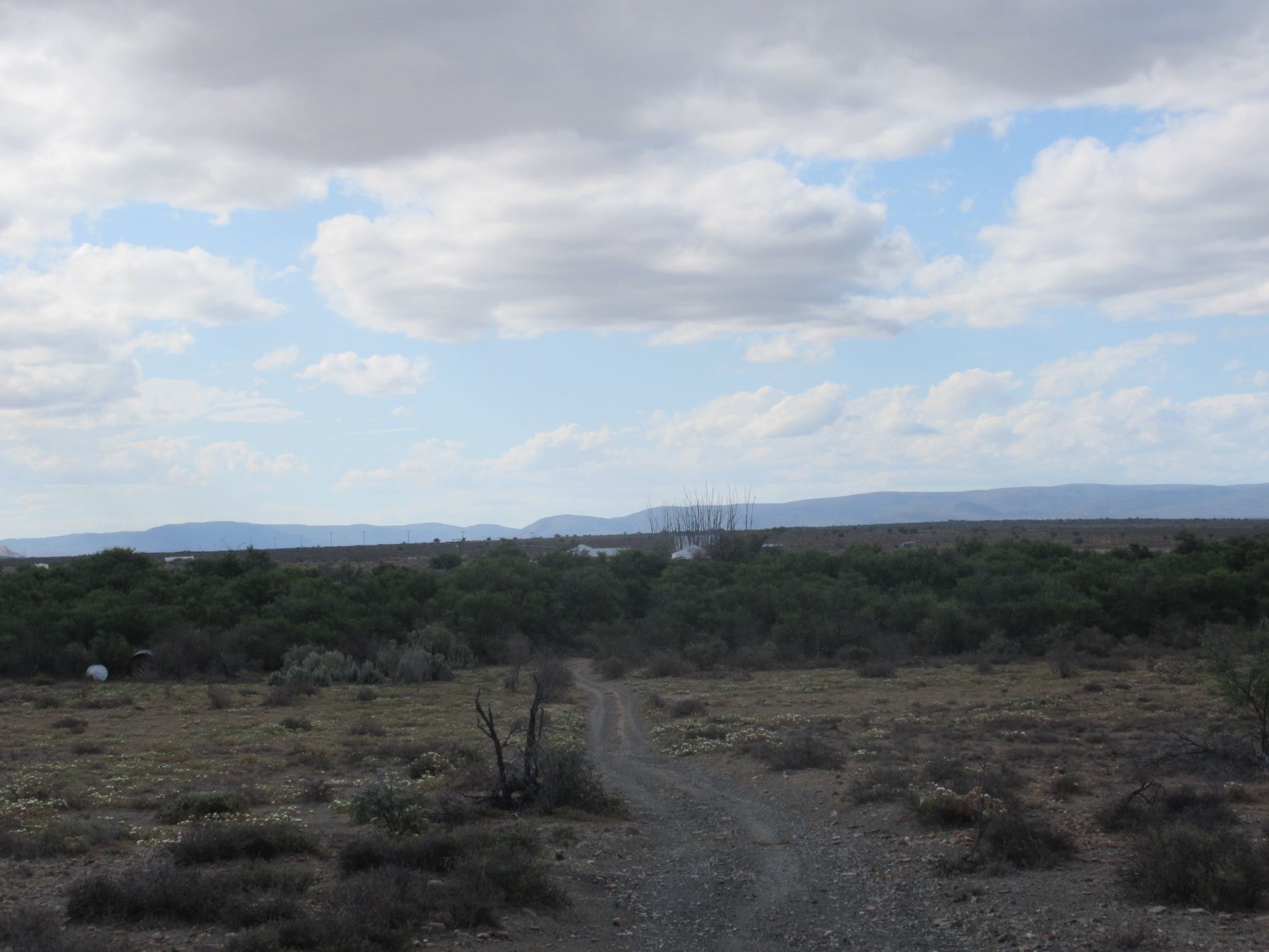 3242 hectare Mixed Use Farm For Sale Somerset East 1KK1594282 Pam