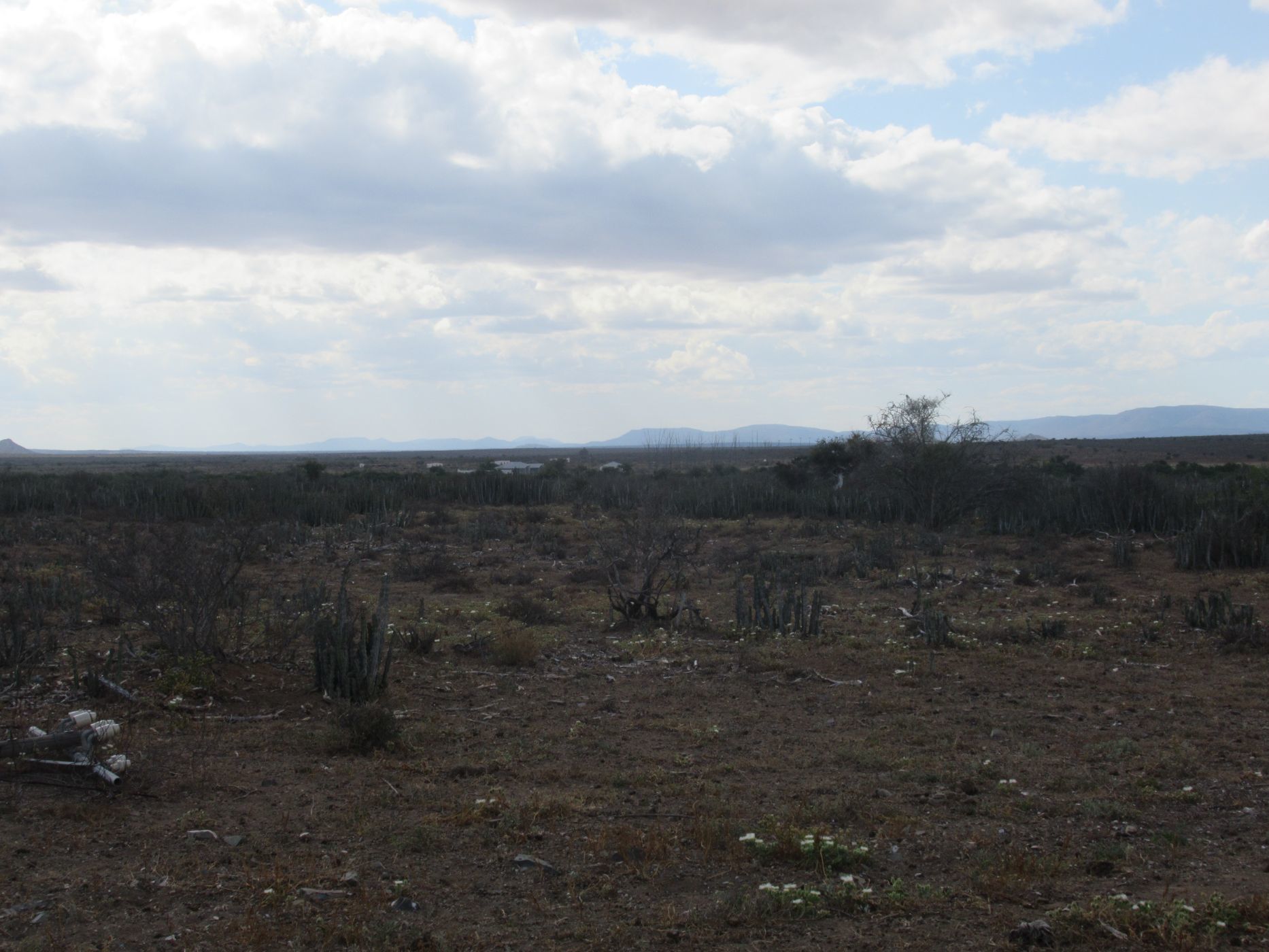 3242 hectare Mixed Use Farm For Sale Somerset East 1KK1594282 Pam