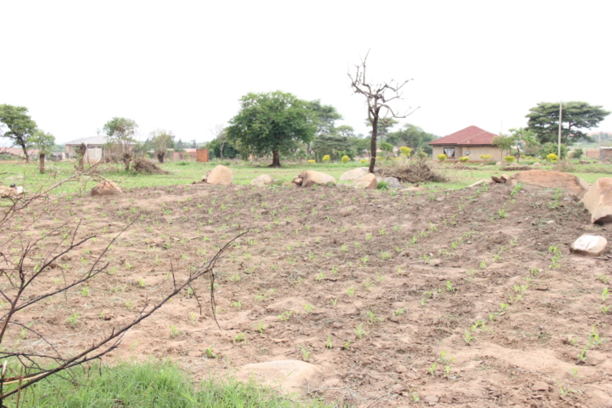 4006 m2 Vacant Land For Sale Harare West (Zimbabwe) 3ZB1594236