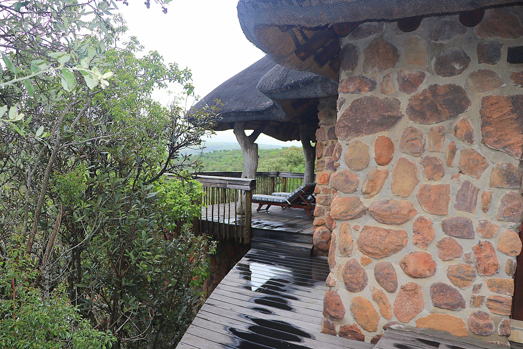 5 Guest Room Game Lodge For Sale Welgevonden Game Reserve