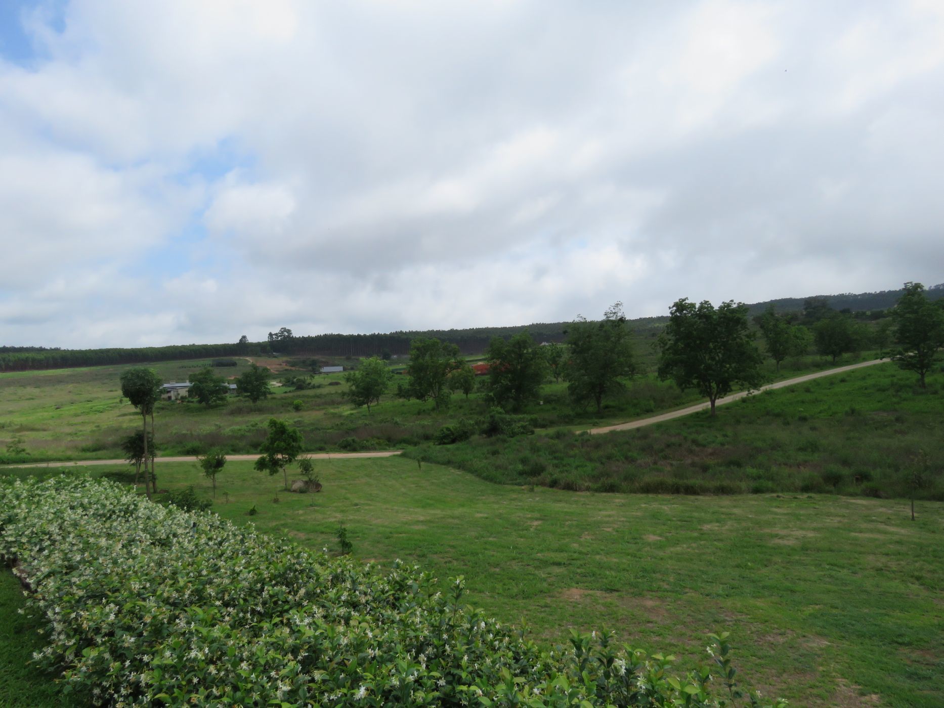 9900 m2 Residential Vacant Land For Sale White River 1WR1592036