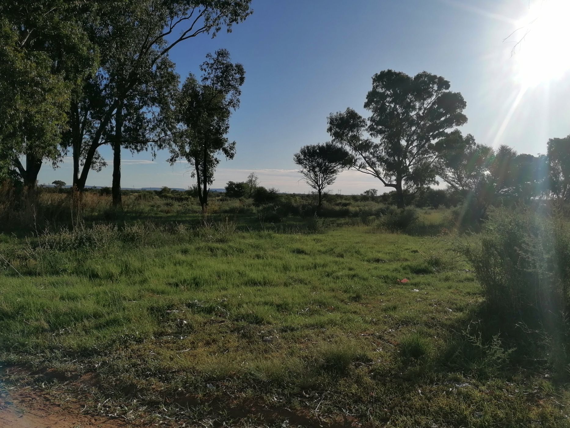 1269 m2 Vacant Land For Sale Brandfort 1BX1597763 Pam Golding