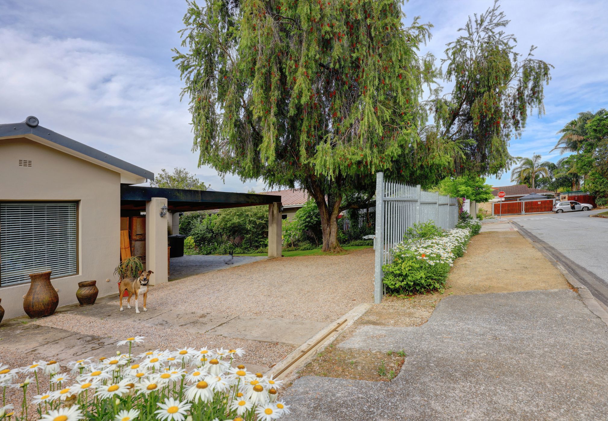 3 Bedroom House For Sale Bergsig GEO1596845 Pam Golding