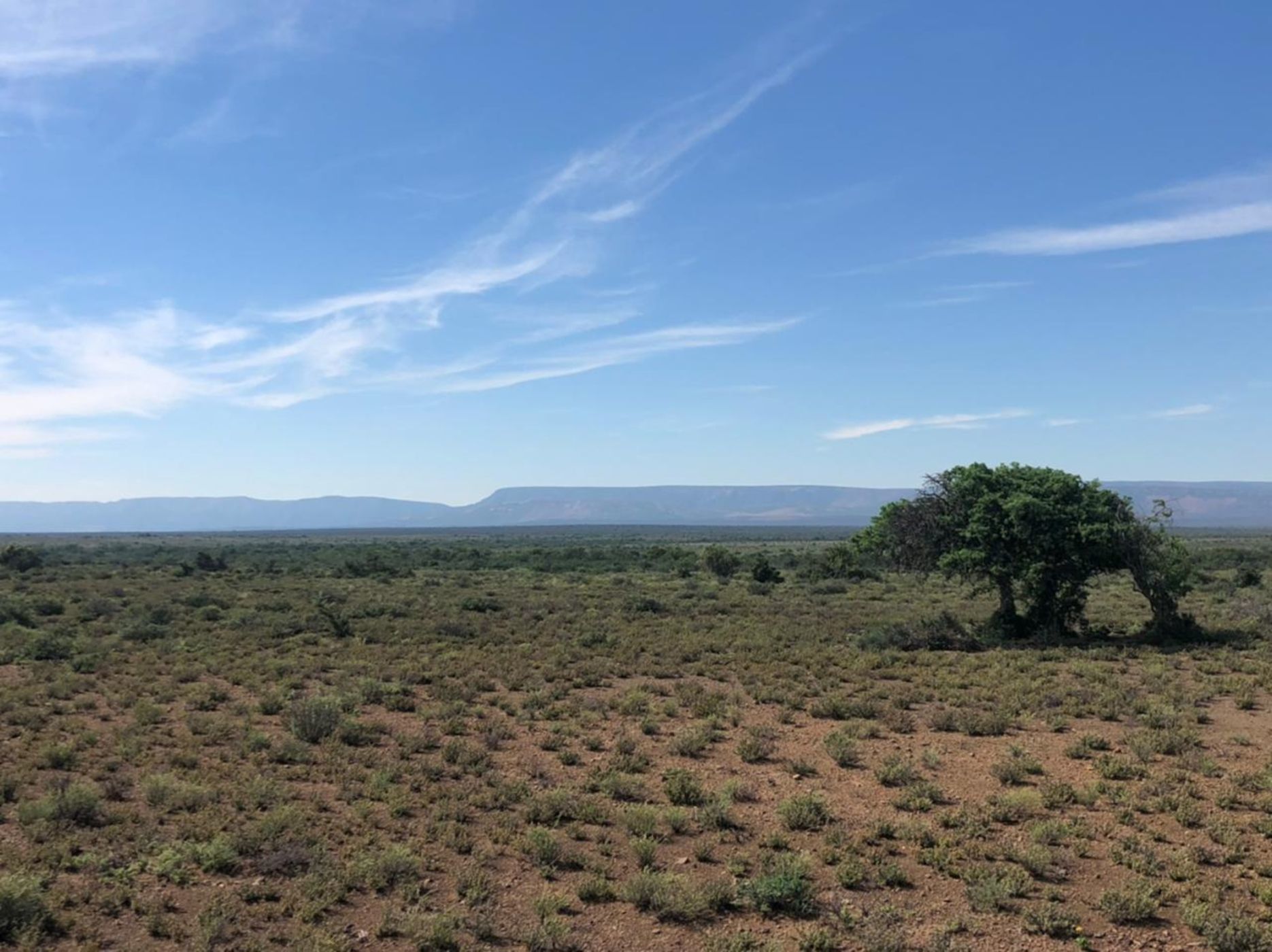 3242 hectare Mixed Use Farm For Sale Somerset East 1KK1594282 Pam