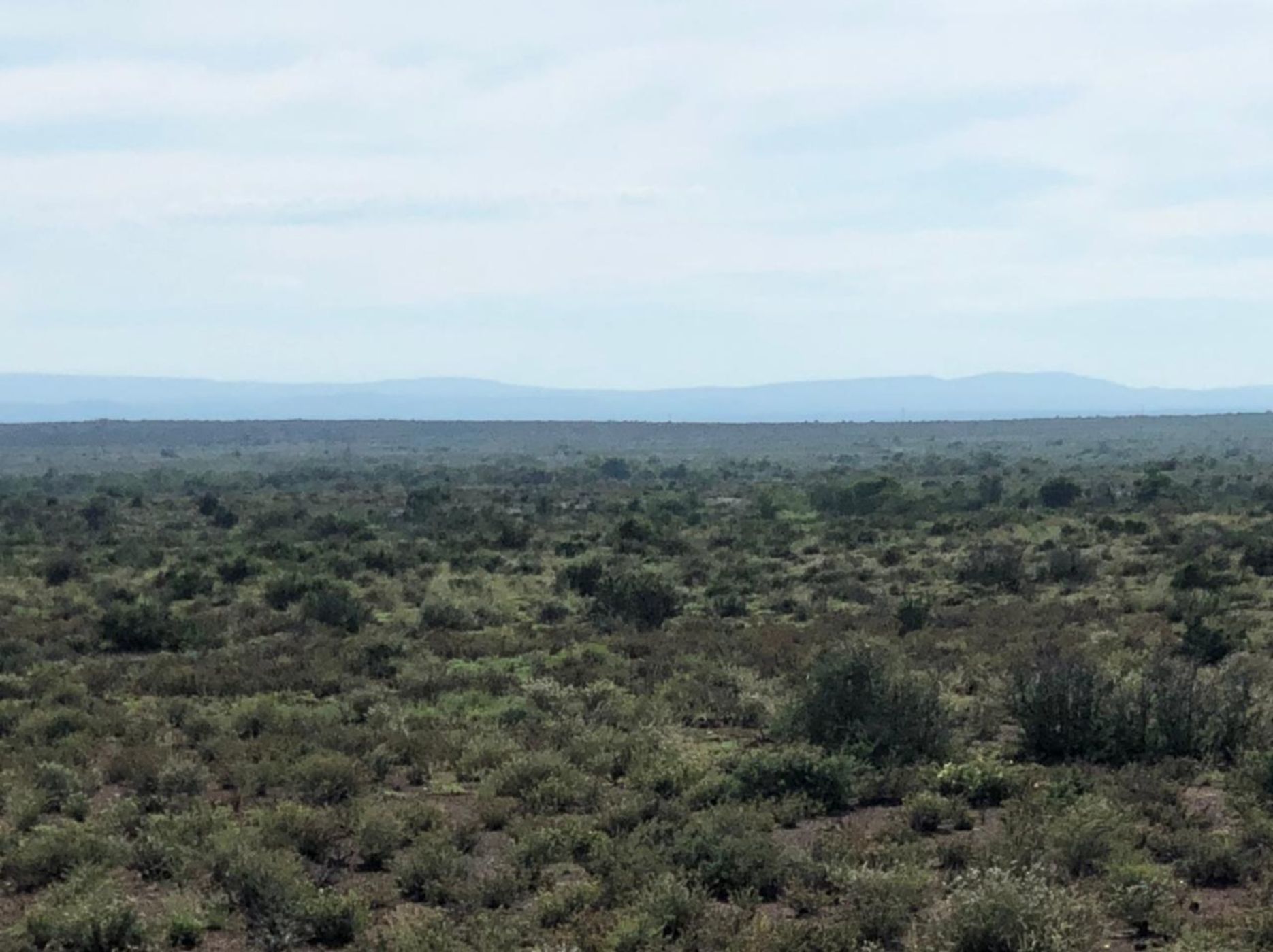 3242 hectare Mixed Use Farm For Sale Somerset East 1KK1594282 Pam