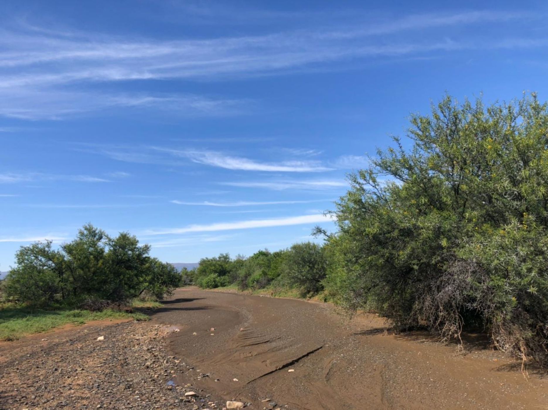 3242 hectare Mixed Use Farm For Sale Somerset East 1KK1594282 Pam