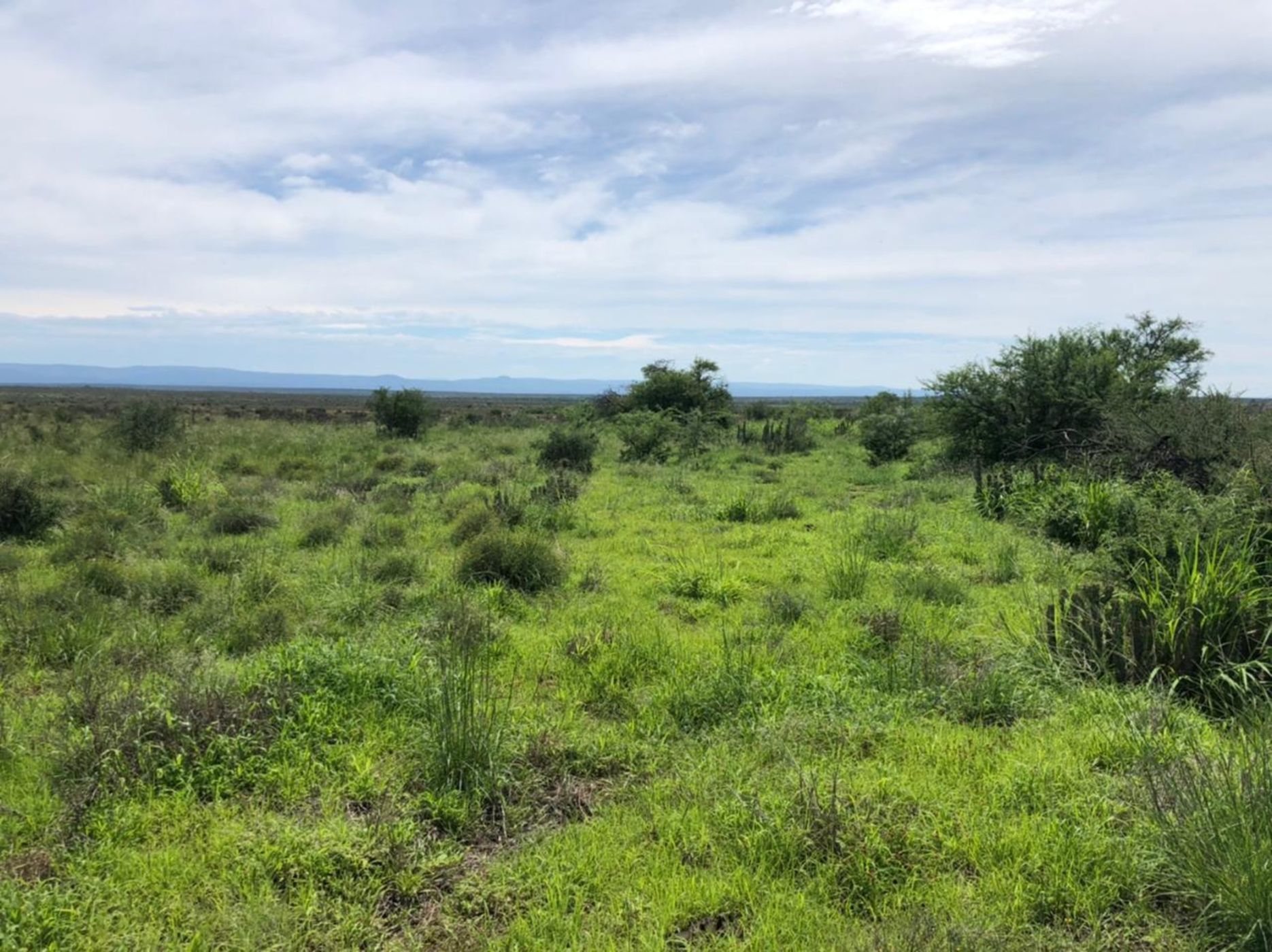 3242 hectare Mixed Use Farm For Sale Somerset East 1KK1594282 Pam