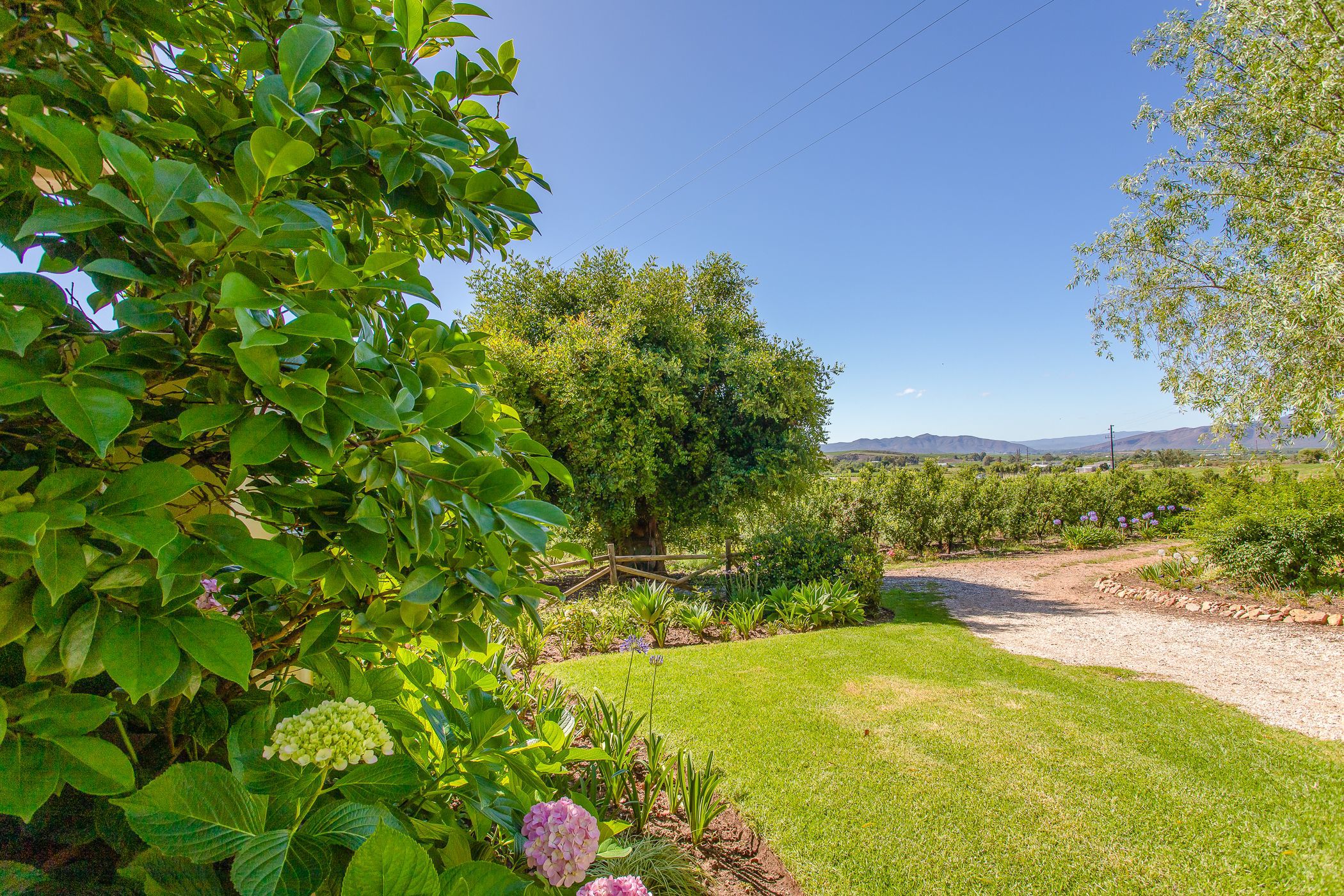 120.5 hectare Fruit Farm For Sale Robertson TK1599010 Pam Golding