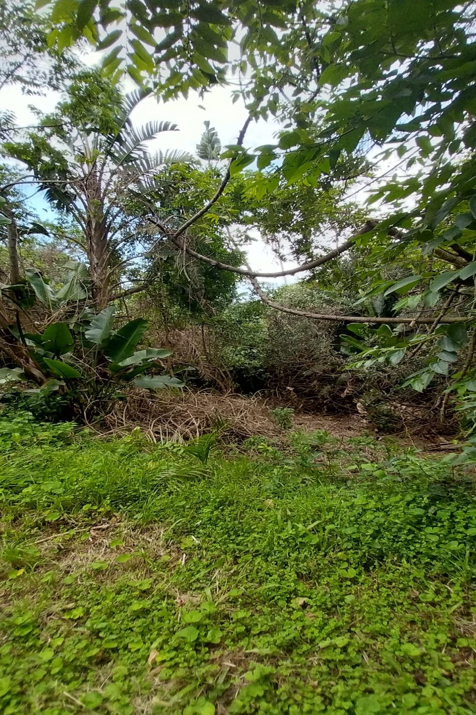 3593 m2 Vacant Land For Sale Bazley 1SI1598255 Pam Golding Properties