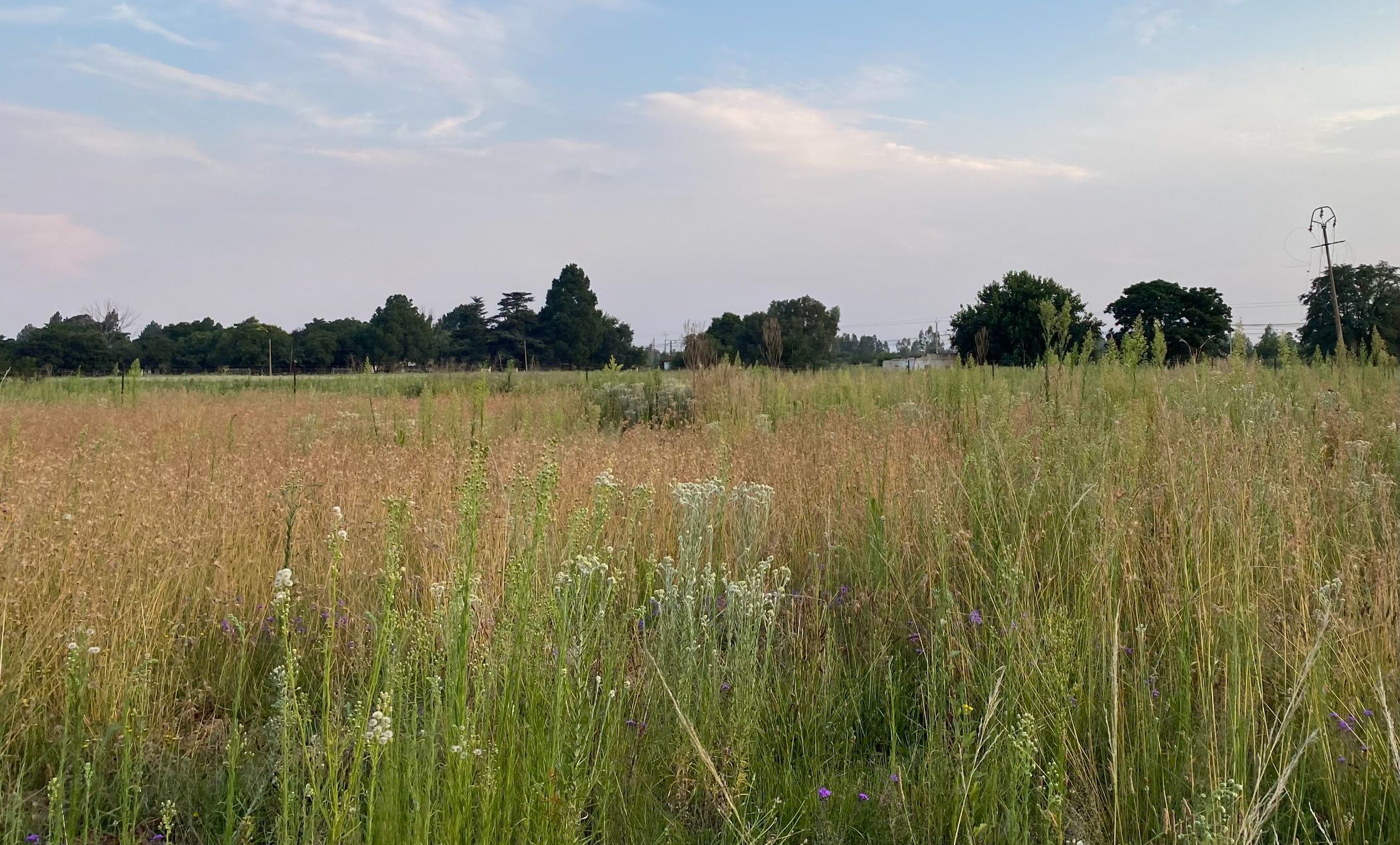 260 m2 Vacant Land For Sale Golden Gardens (Sebokeng) 1VT1599764